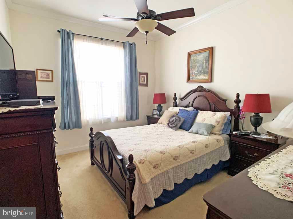 REGENCY AT YARDLEY - Residential