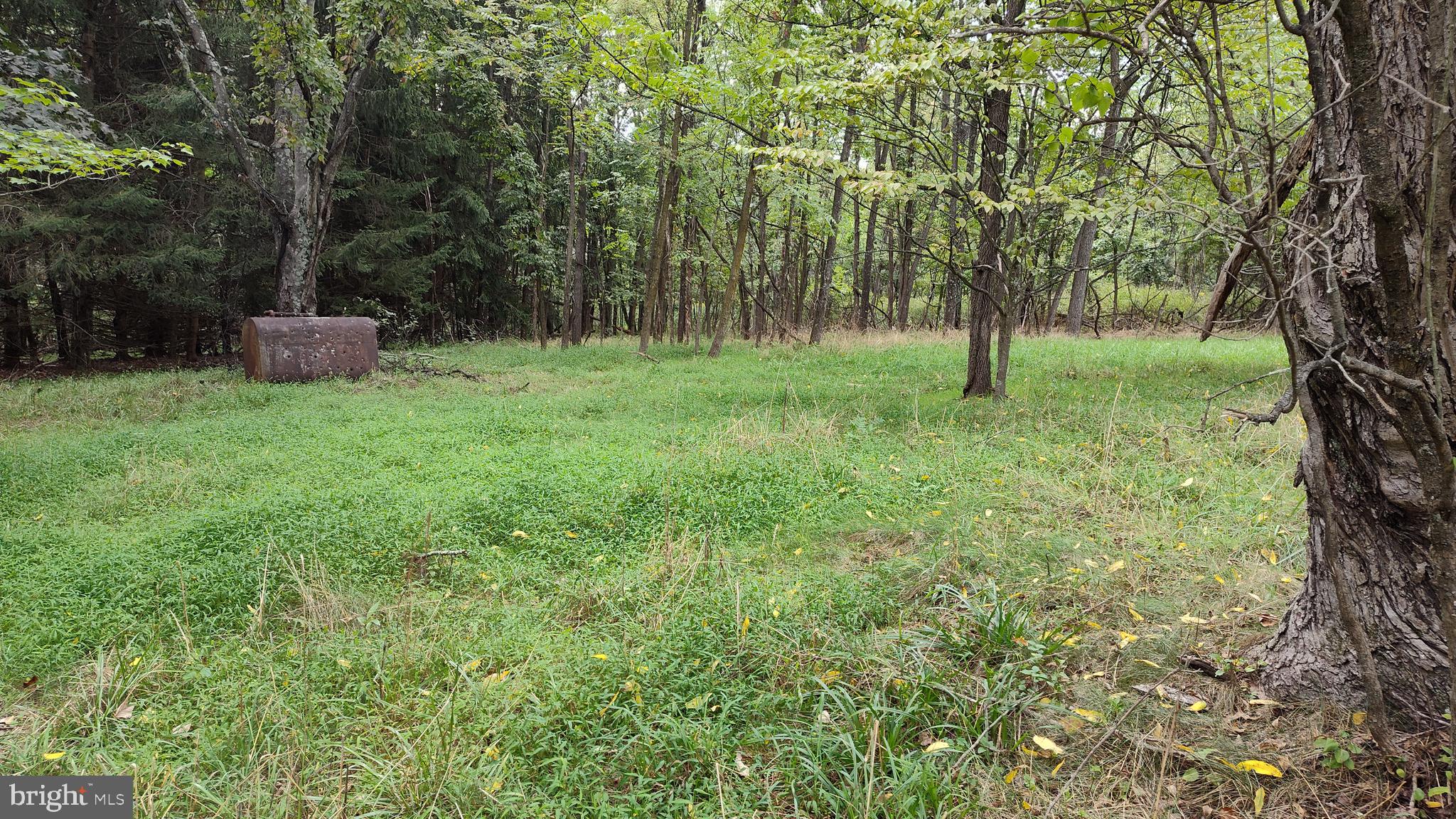 LEVELS VIEW - Residential