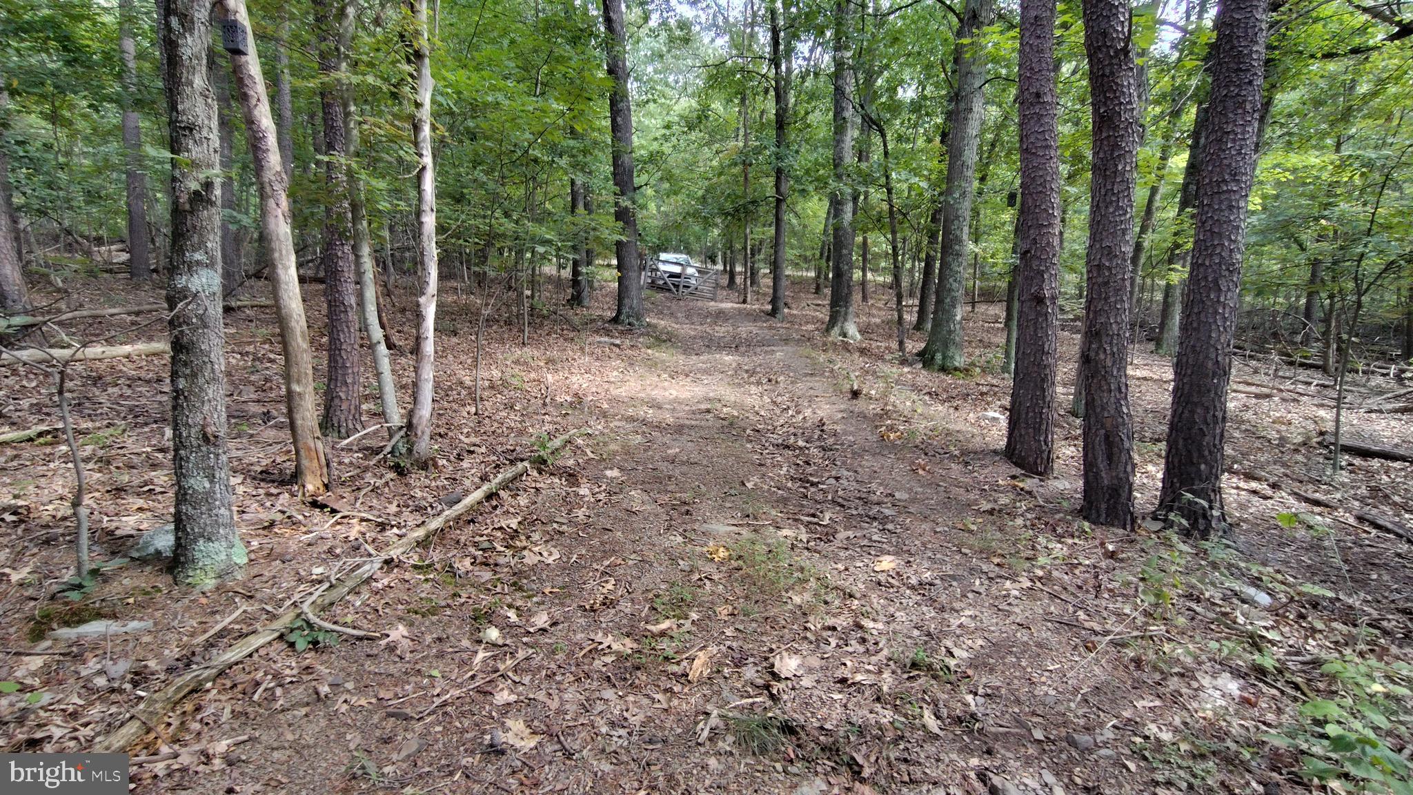 LEVELS VIEW - Residential