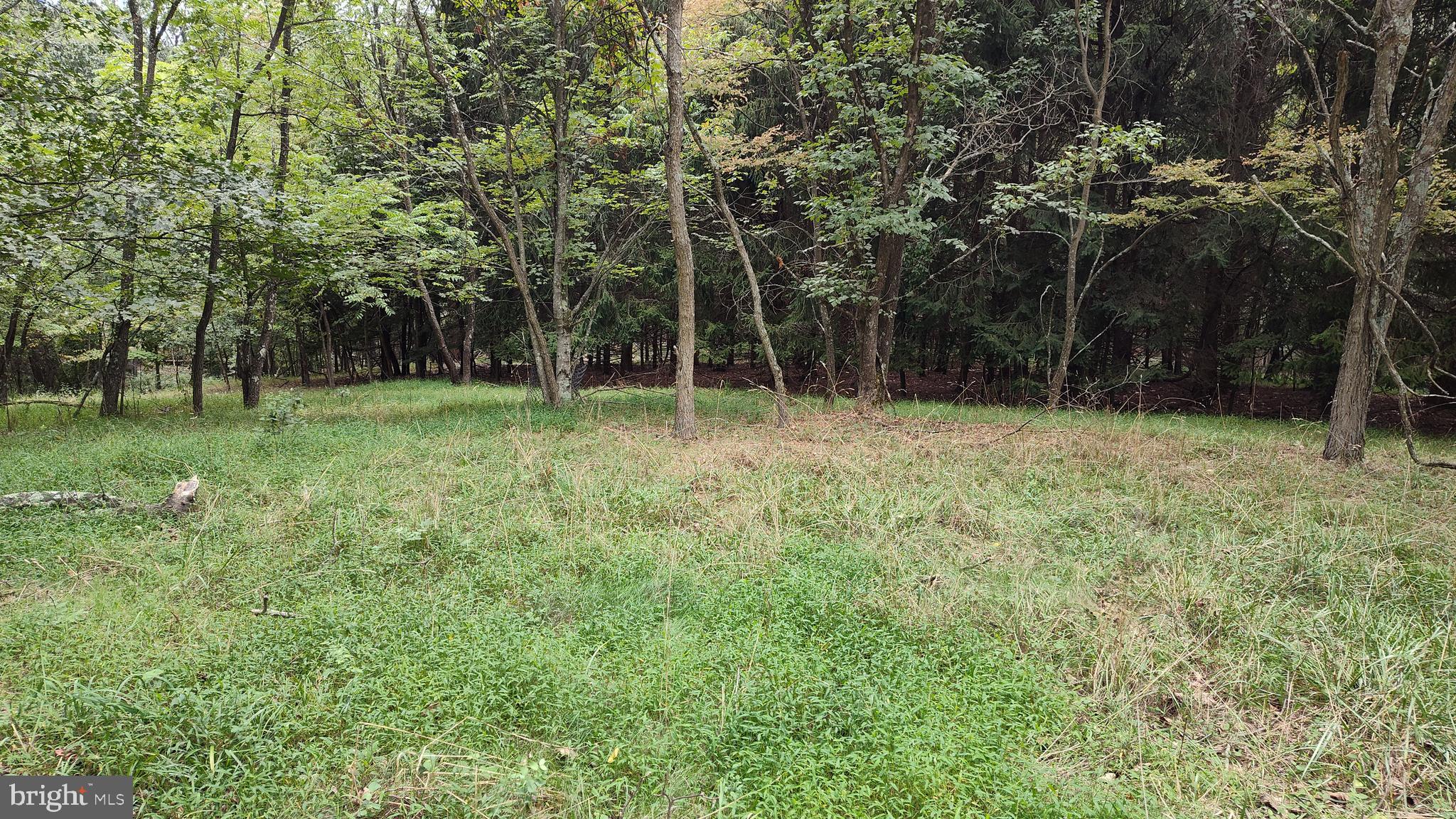 LEVELS VIEW - Residential