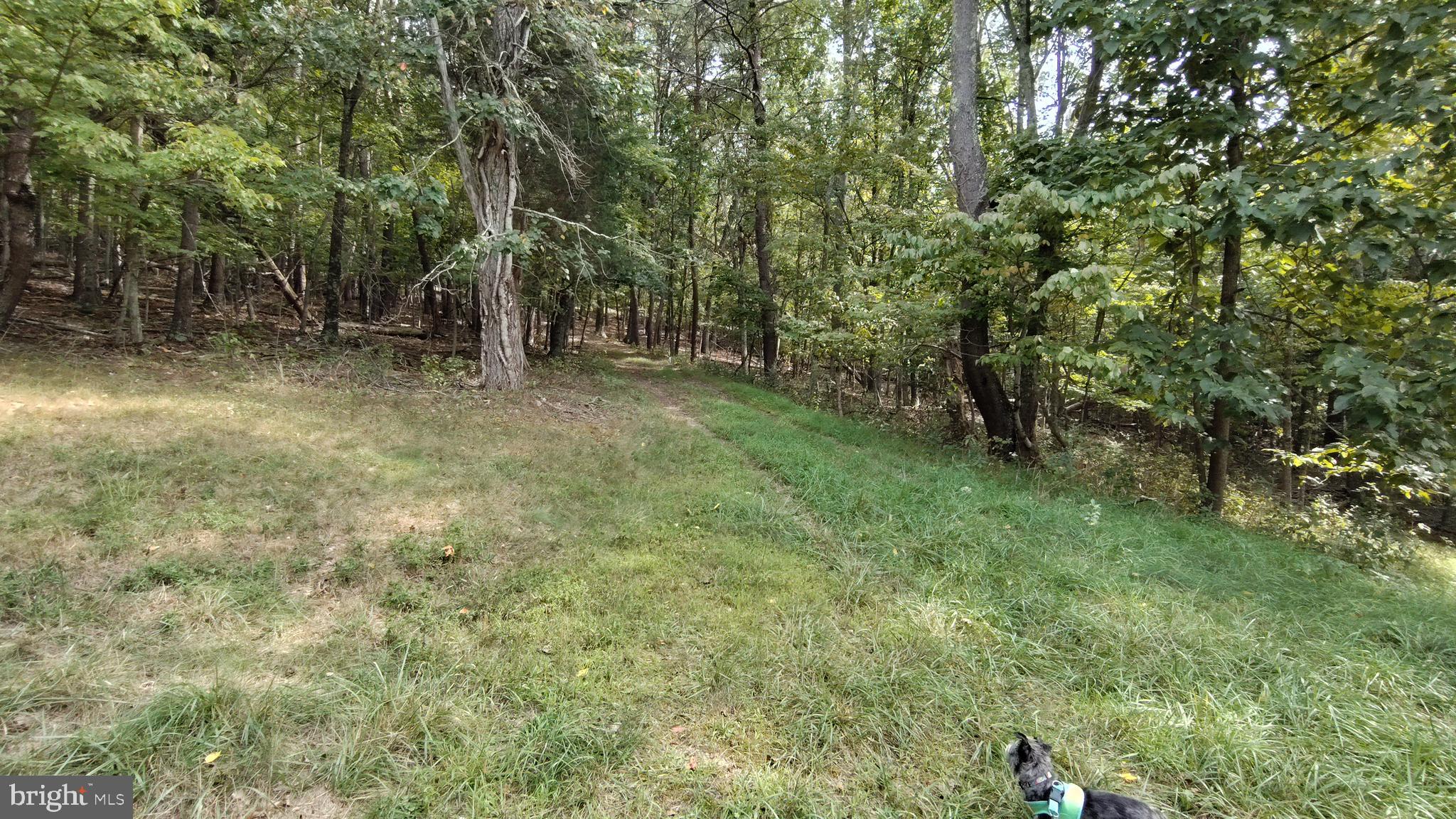 LEVELS VIEW - Residential