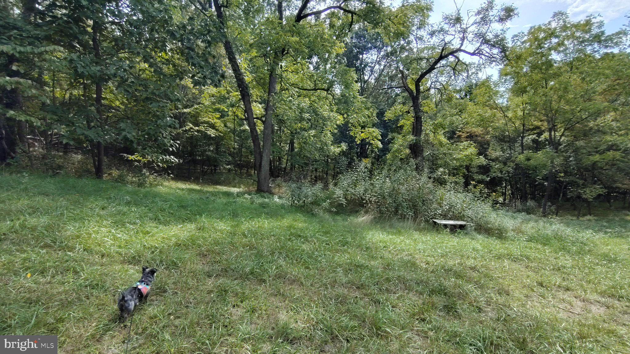 LEVELS VIEW - Residential