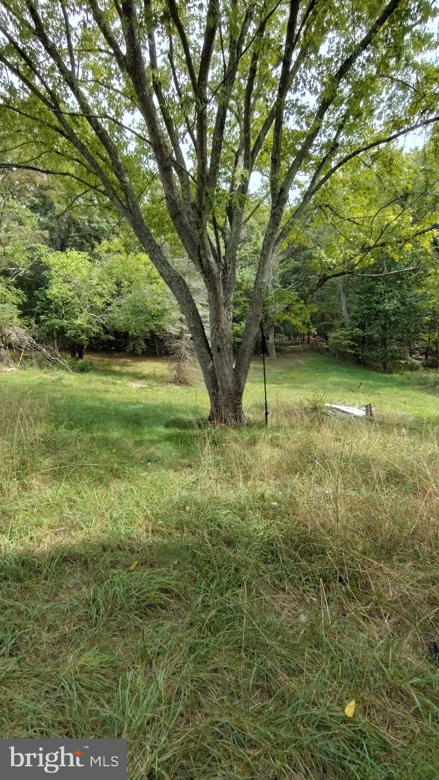 LEVELS VIEW - Residential