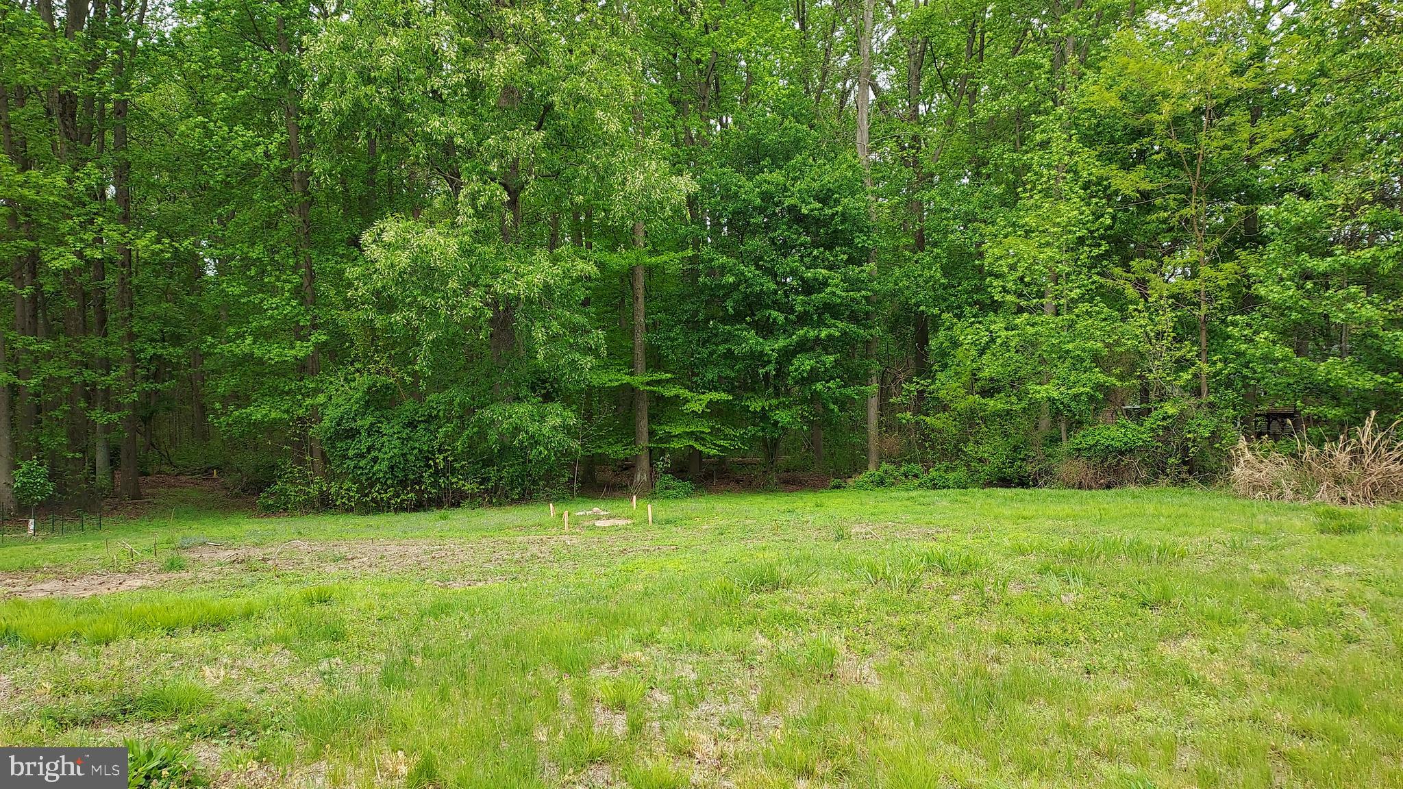 395 HAZELMOOR DRIVE
