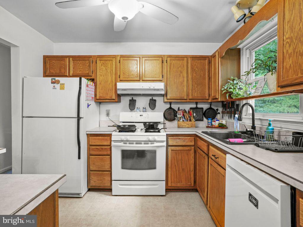 447 DOGWOOD DRIVE