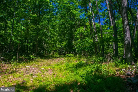 MLS: VAFV2042376
