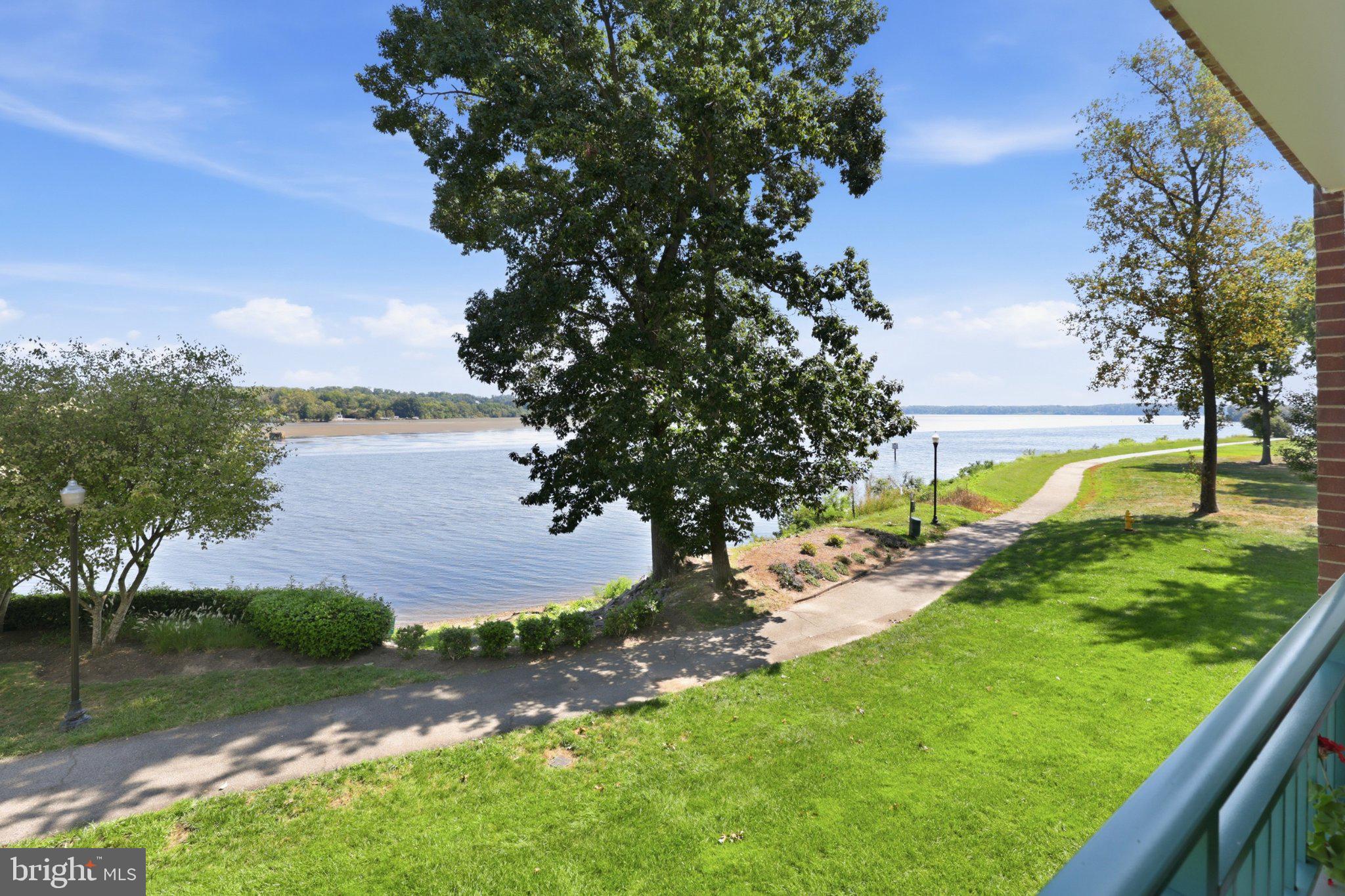 440 BELMONT BAY 215