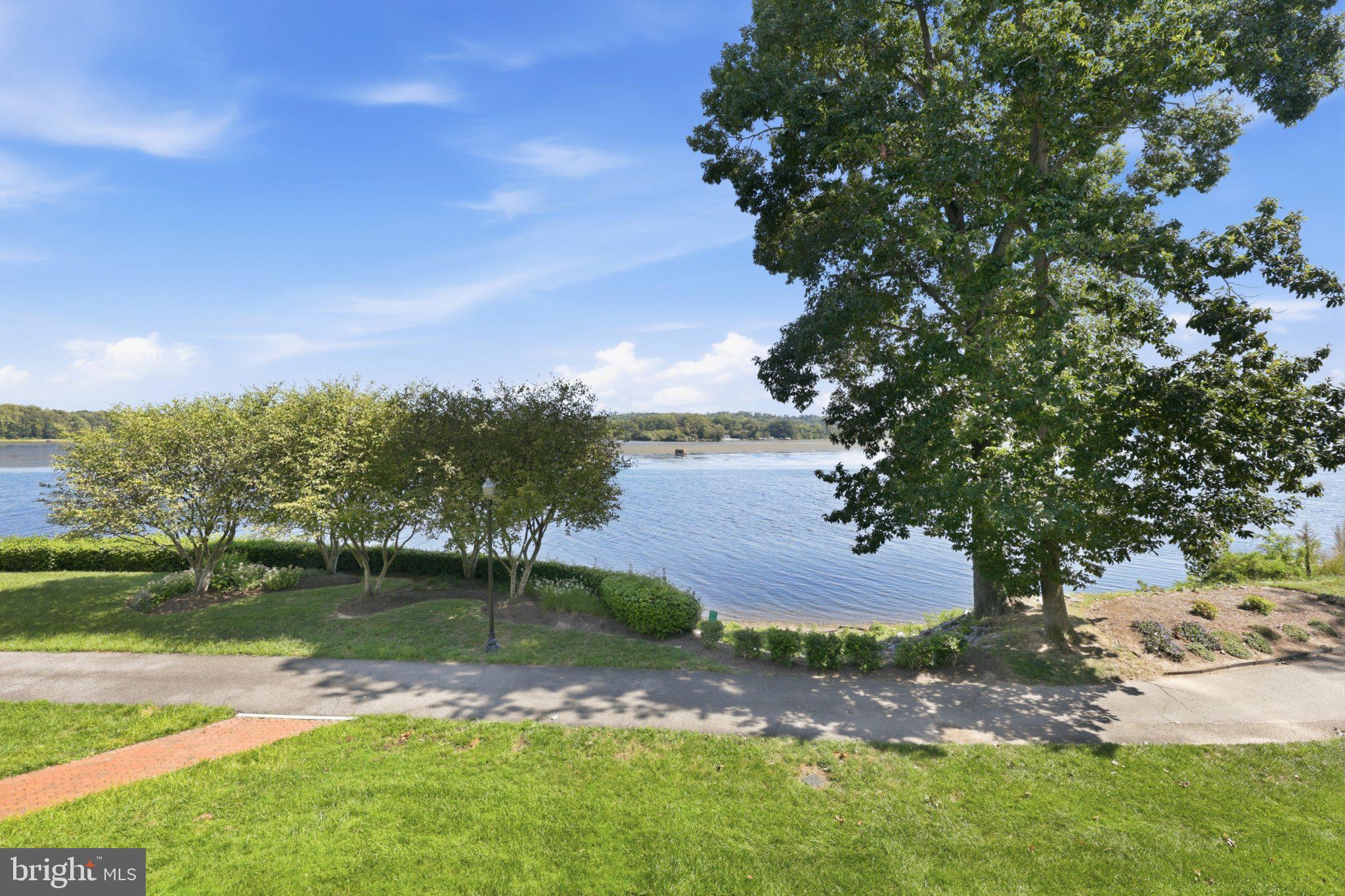440 BELMONT BAY 215