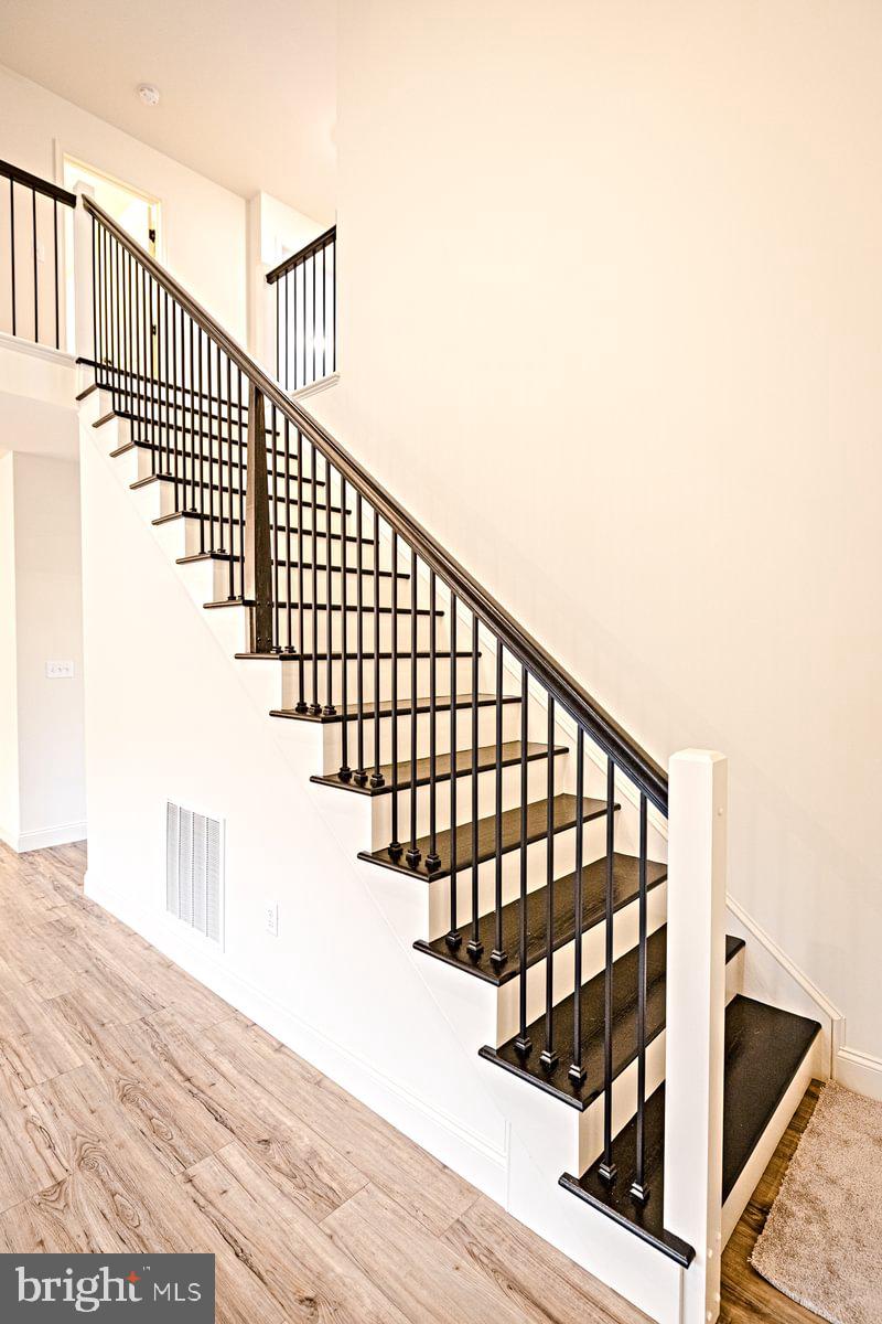 MOLLY PLAN AT CUMBERLAND PRESERVE ESTATES