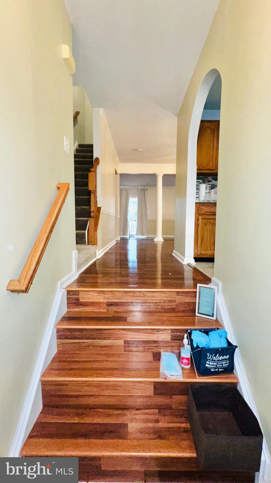 SYCAMORE HILL - Residential