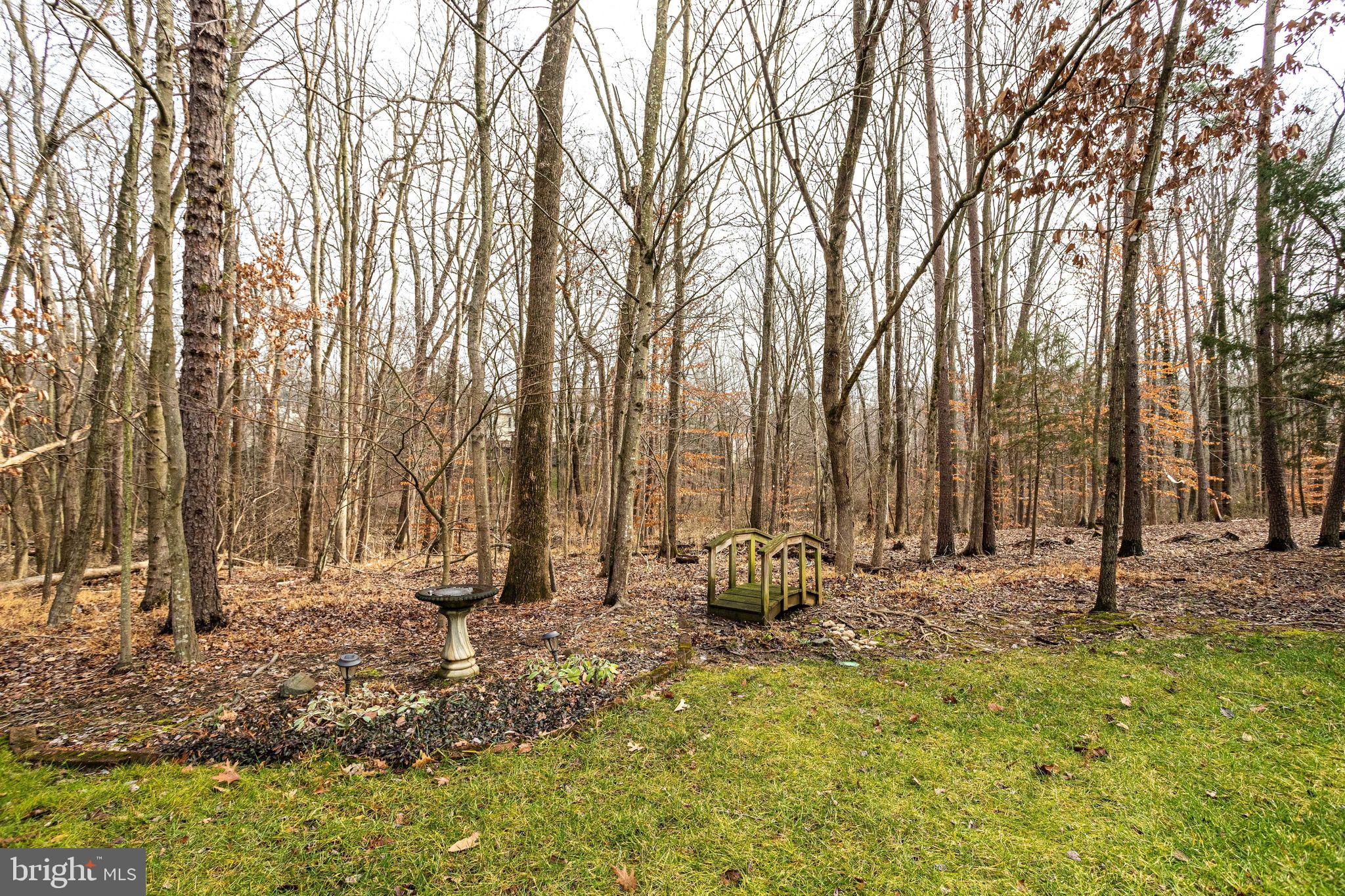 HAMPTON FOREST - Residential