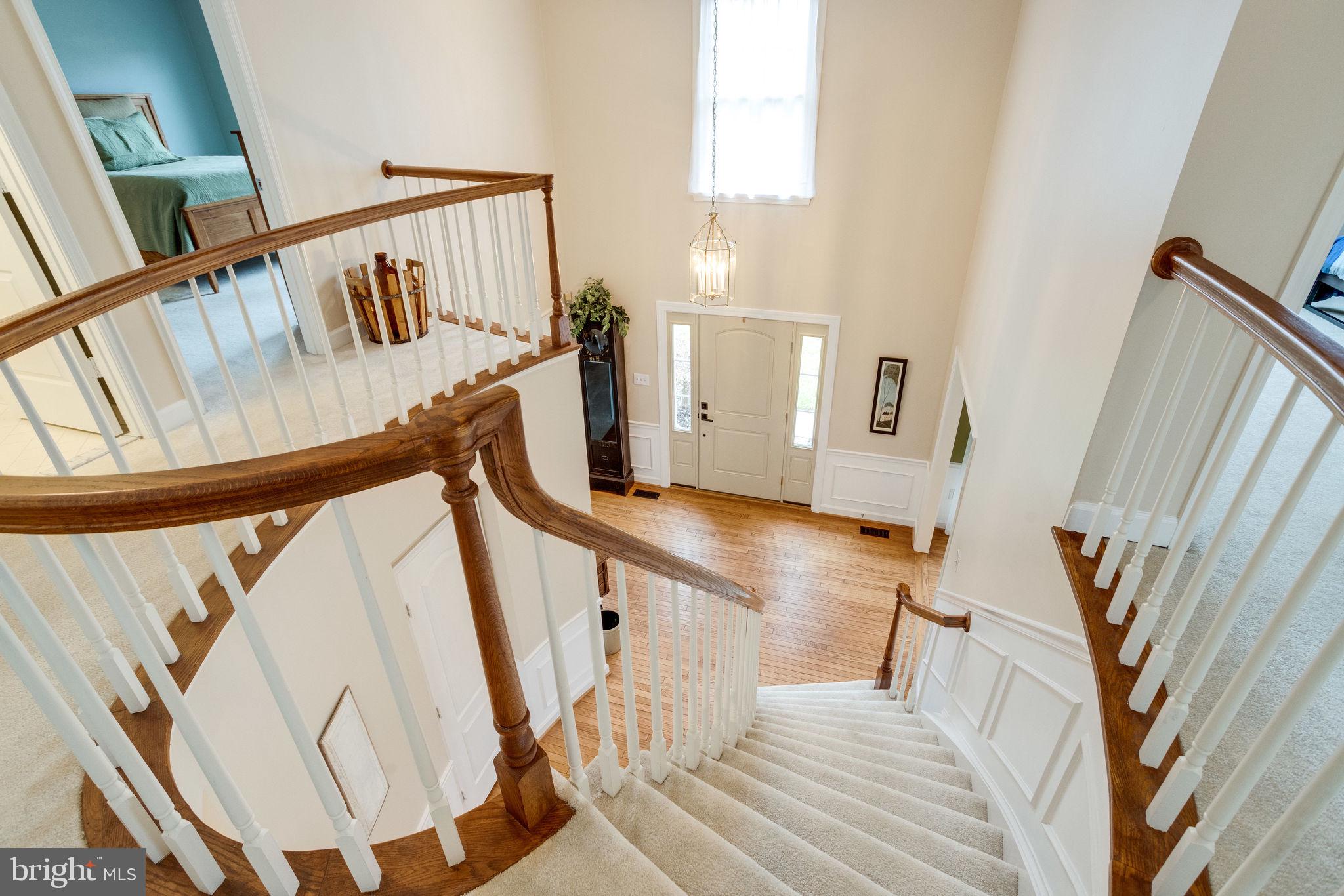 HAMPTON FOREST - Residential