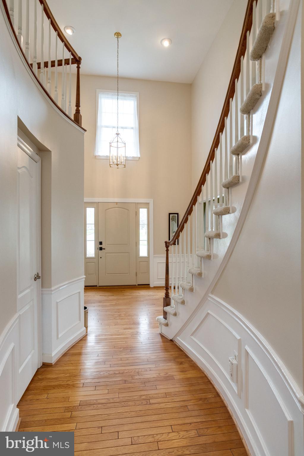 HAMPTON FOREST - Residential