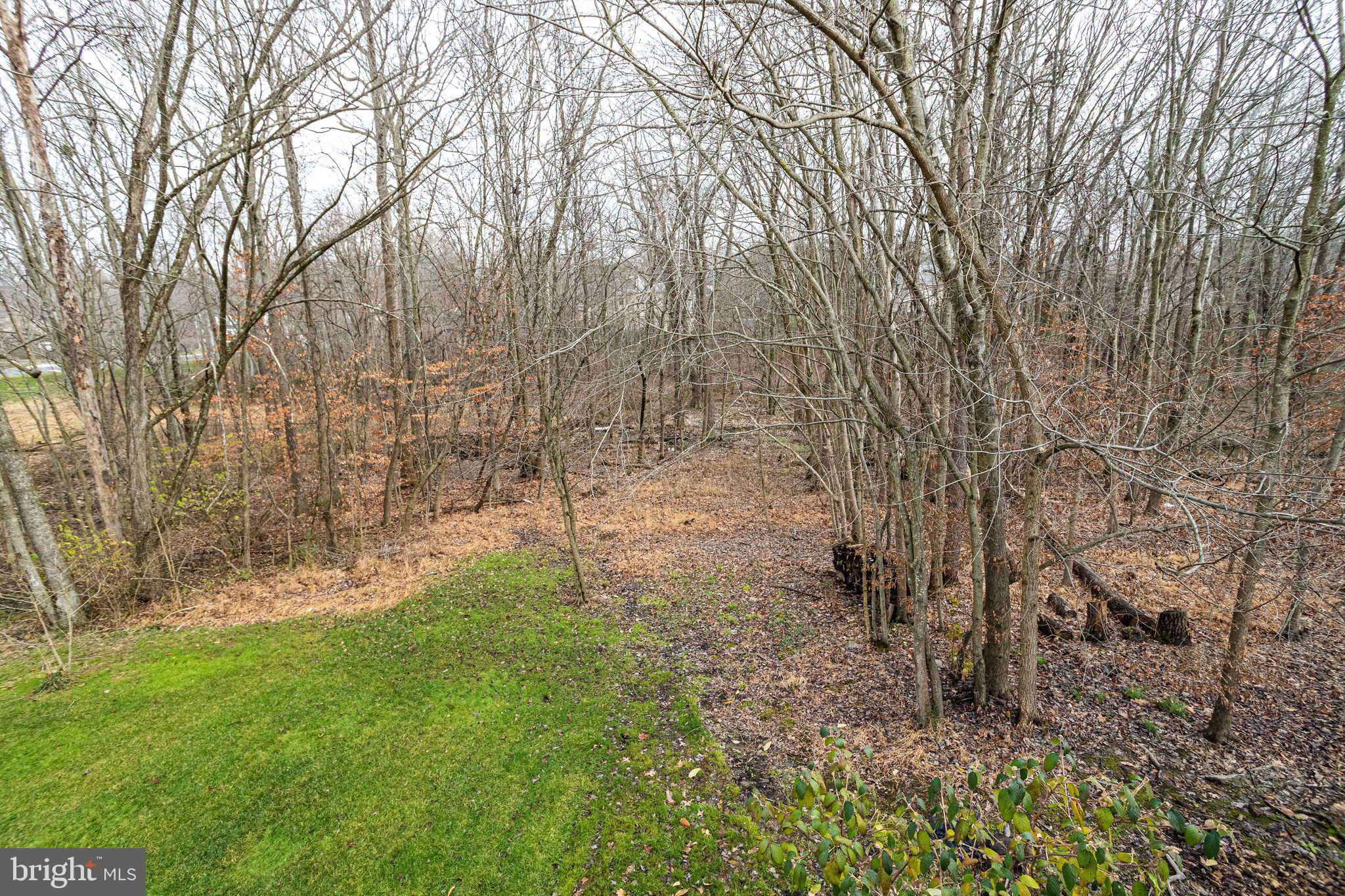 HAMPTON FOREST - Residential