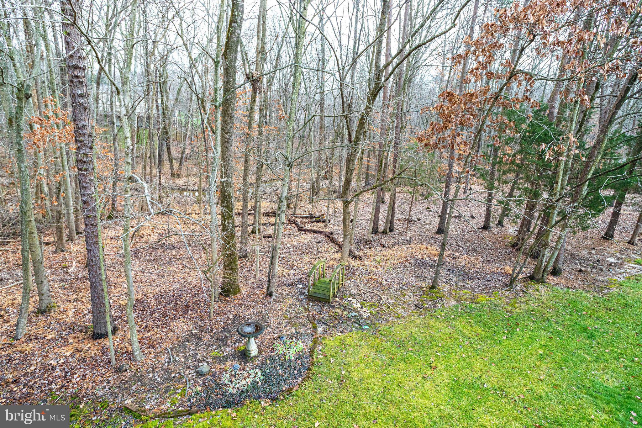 HAMPTON FOREST - Residential