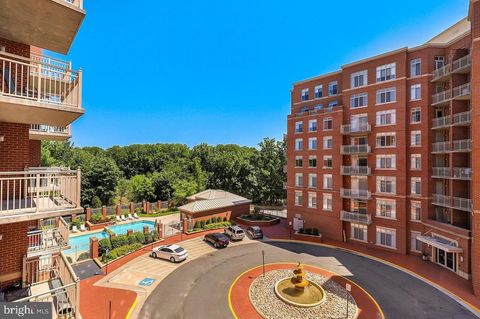 4490 MARKET COMMONS DRIVE 413 FAIRFAX VA 22033