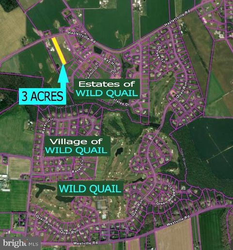 Lot HAZLETTVILLE ROAD HARTLY DE 19953