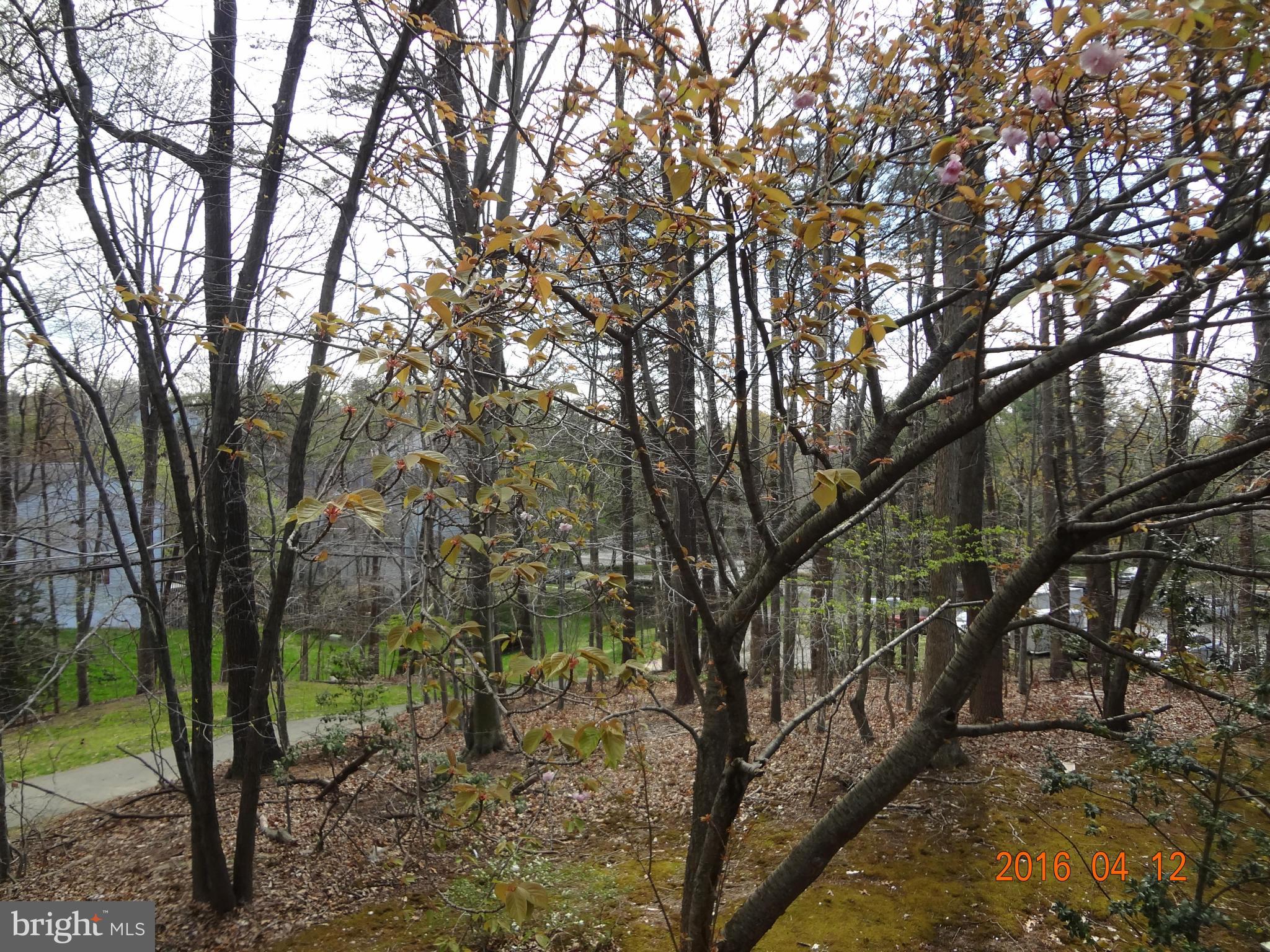ROLLING FOREST - Residential