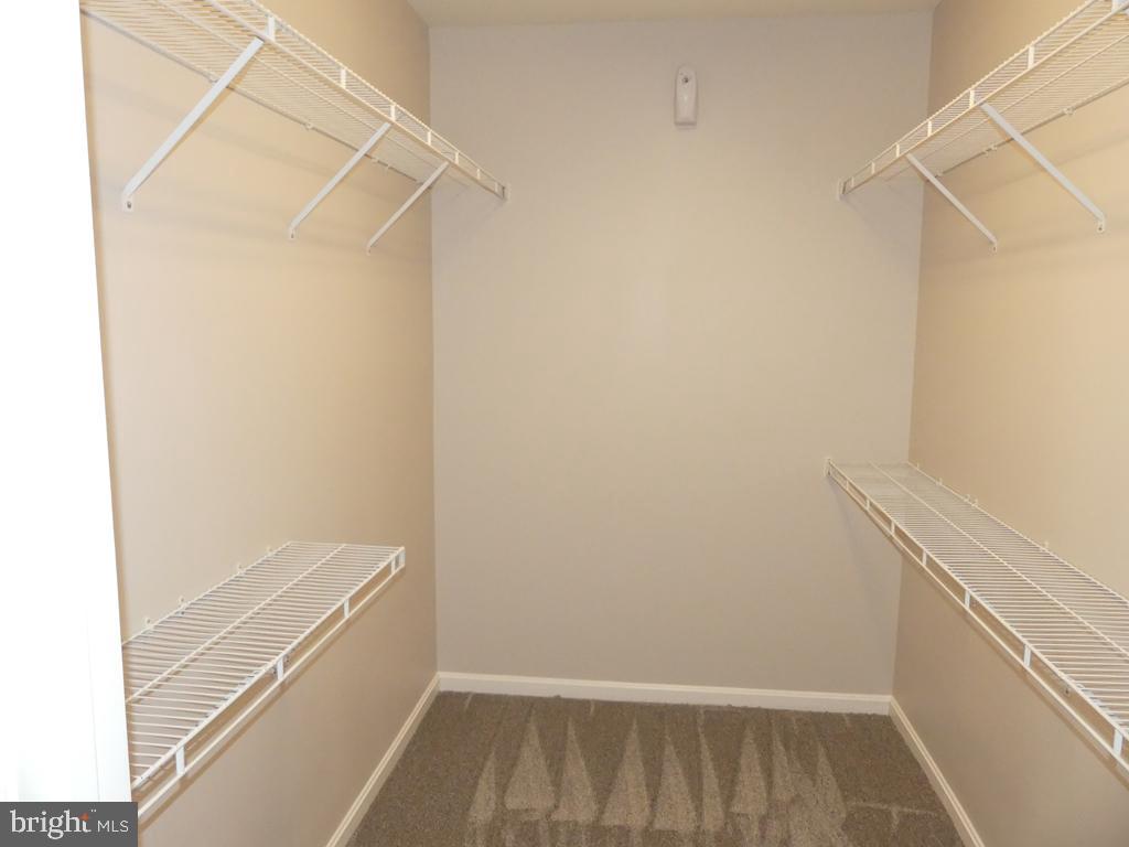 FOREST VIEW - Residential