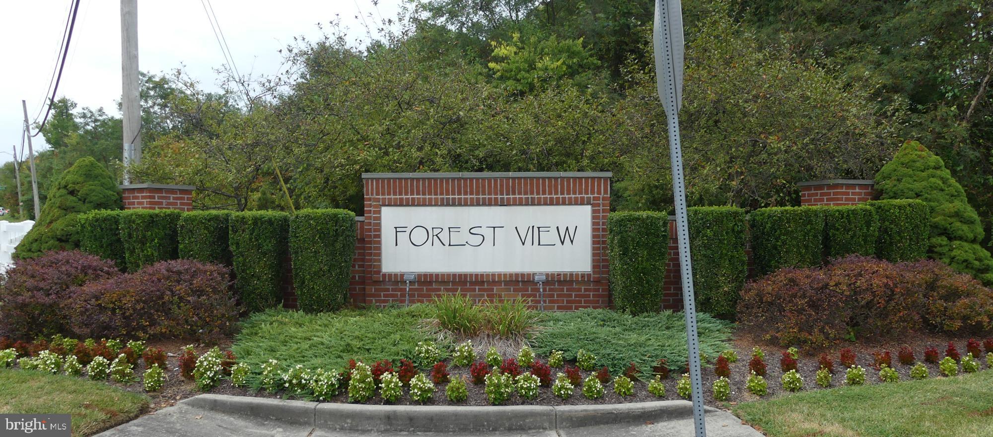 FOREST VIEW - Residential