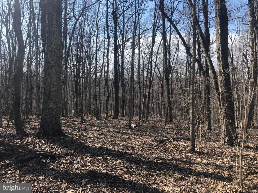 Ready to build!!  Wonderful wooded  spot to build your dream home.  .87 acres comprised of two lots.   Gently sloping terrain perfect for a walk out basement.   Public water service available at the street.   3 Bedroom septic permit issued and ready to go.  Fresh survey done and all corners clearly marked.  Copy of plat and septic permit available. Community has a beautiful riverfront  gated private picnic area and kayak/Canoe launch area on the Shenandoah. Under 30 minutes to Leesburg once Route 9 re-opens!