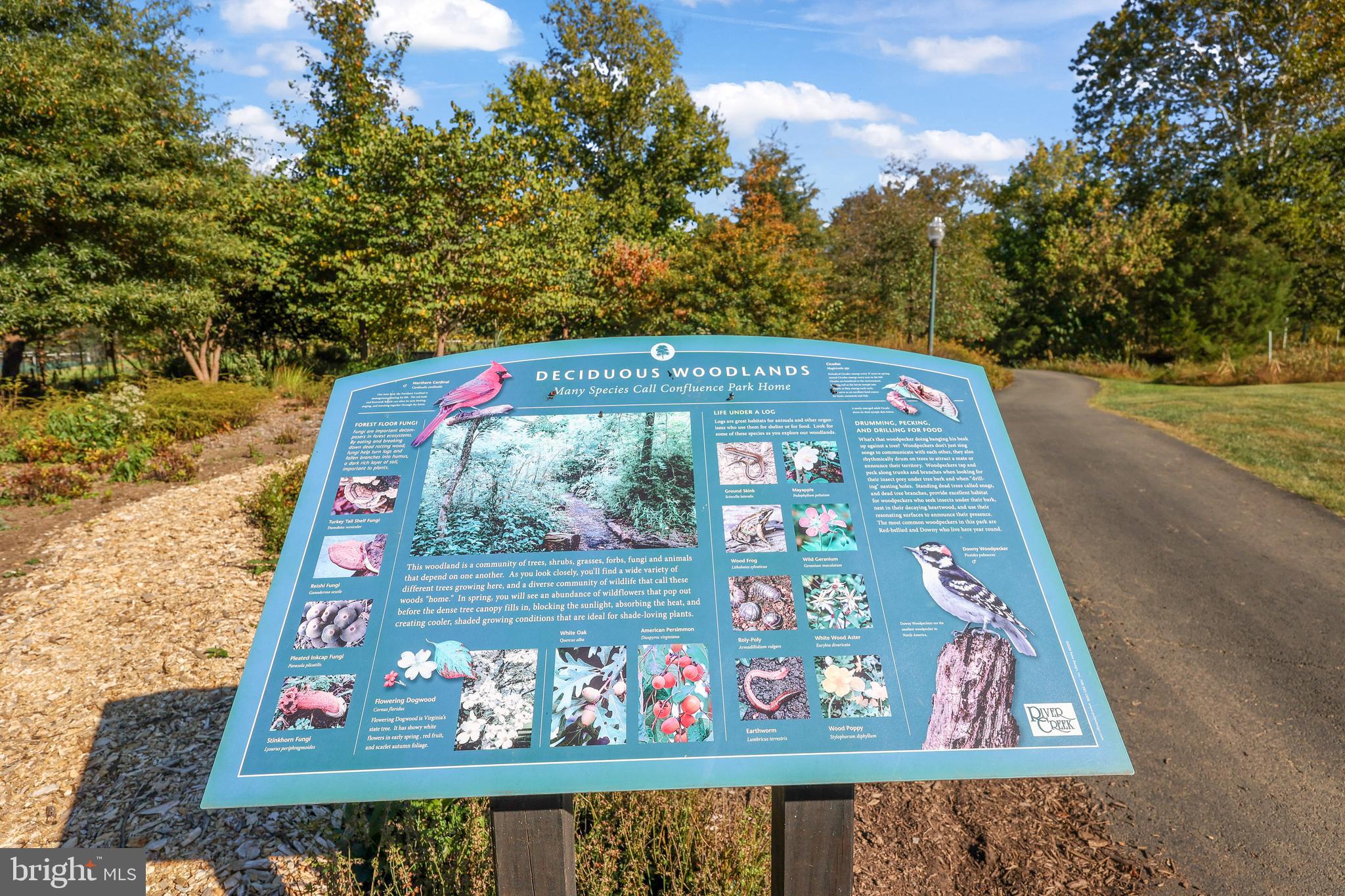 RIVER CREEK - Residential