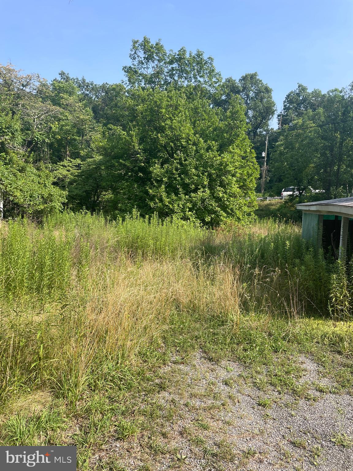 1147 BRADDOCK ROAD