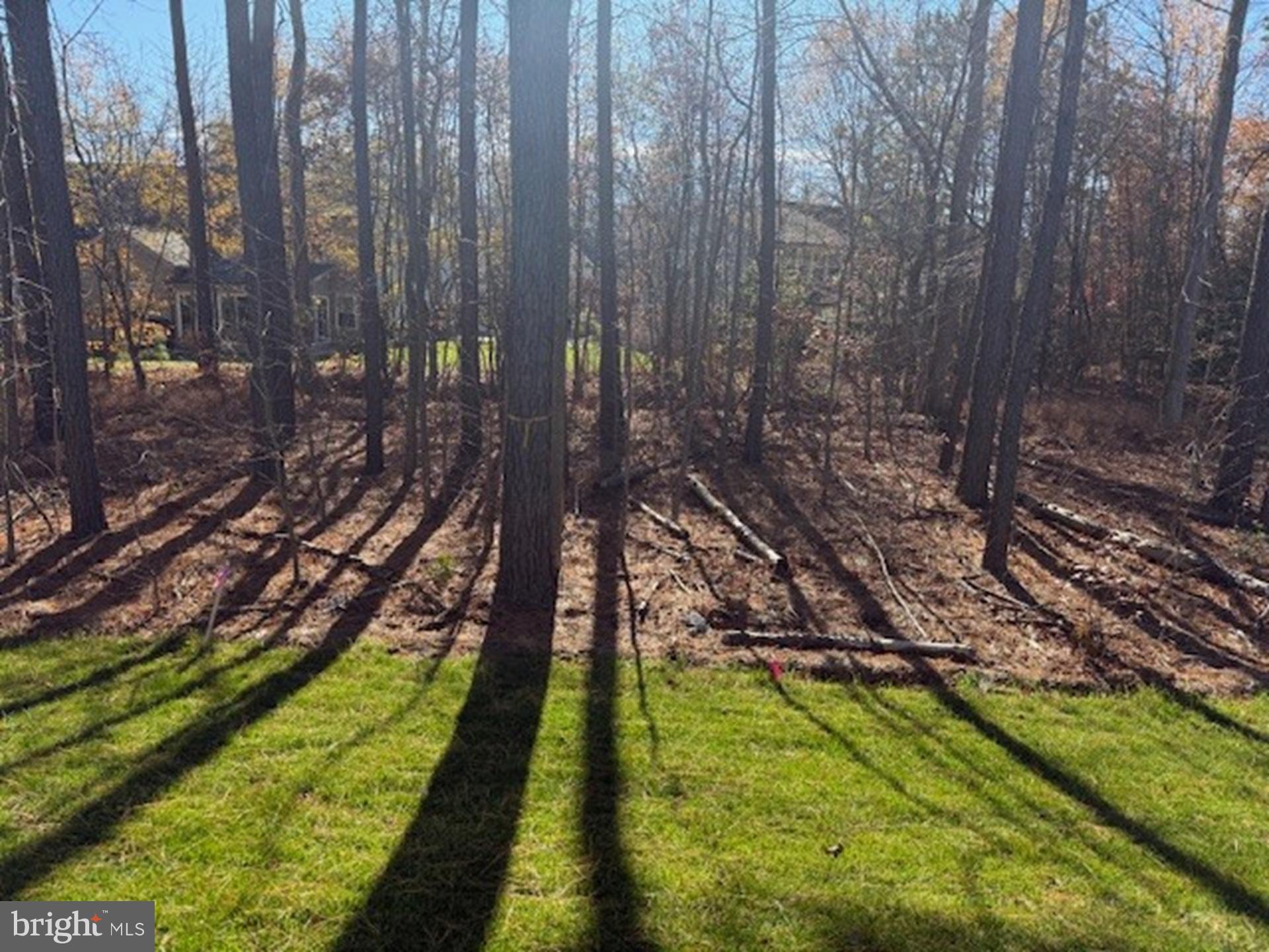 SILVER WOODS - Residential