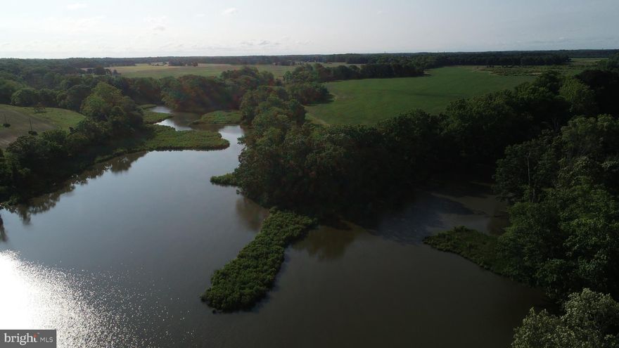 Talbot County Farm For Sale – Over 200 acres located between Easton and Oxford at the headwaters of Trippe Creek.  ‘Piney Point’s Advantage’ provides 214 acres with agricultural fields, mature woodland, extensive habitat for waterfowl, and upland game along with a recorded four-lot subdivision and eight remaining development rights.  
Habitat and wetlands restoration began in 2011 with a Soil Conservation and Water Quality Plan.  The CRP contracts were renewed in 2020 to help with the sustainable use and sound management of soil, water, and habitat resources.  Of the 214 acres of the farm, 58 acres are enrolled in the CRP program, 93 acres are under cultivation and the remainder is woodland, field edges, and waterfront.
The farm provides an opportunity for residential use with a recorded four-lot division and eight remaining development rights.  Development activity is subject to a re-evaluation by the County Health Department for the four existing perc sites.  There is an existing private road built to county standards and governing documents in place satisfying county requirements when development activity begins.
Located between Easton and Oxford, Piney Point’s Advantage is impeccably well-kept and maintained to maximize wildlife habitat.  This farm provides a rare opportunity for a family compound in a natural setting with substantial infrastructure.   Waterfowl impoundments, a private road, and approvals that generate value through a myriad of uses are in place and represent value for the buyer with a vision in mind.  Set among large estates, Piney Point’s Advantage is sure to please the discerning buyer, nature lover, and outdoors enthusiast.

Farm current farming lease and CRP contracts.  Documents are available upon request.  Assumption of CRP  Contracts by Buyer at Settlement.