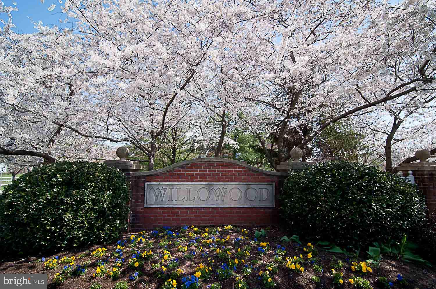 WILLOWOOD - Residential