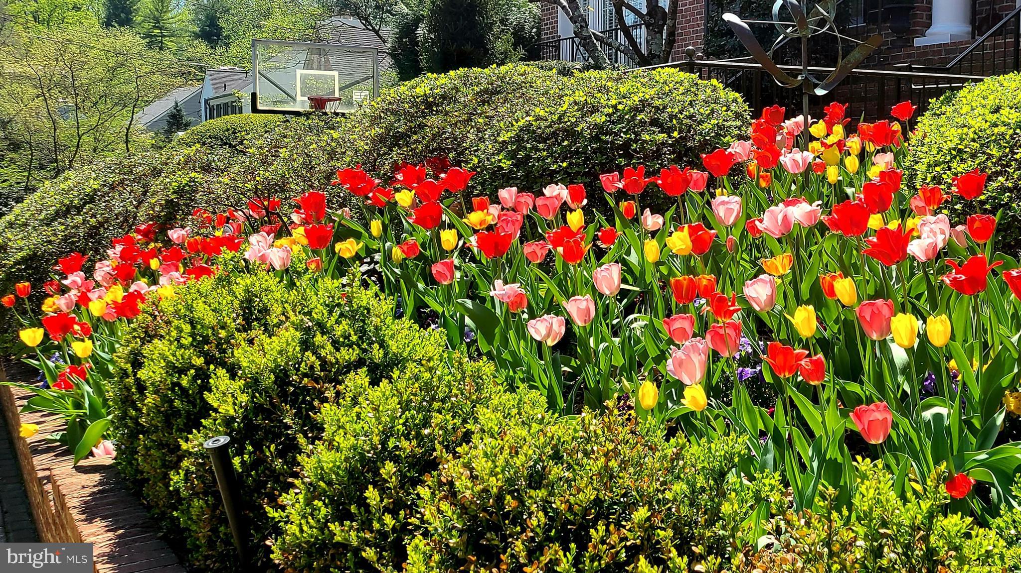 SUMNER - Residential