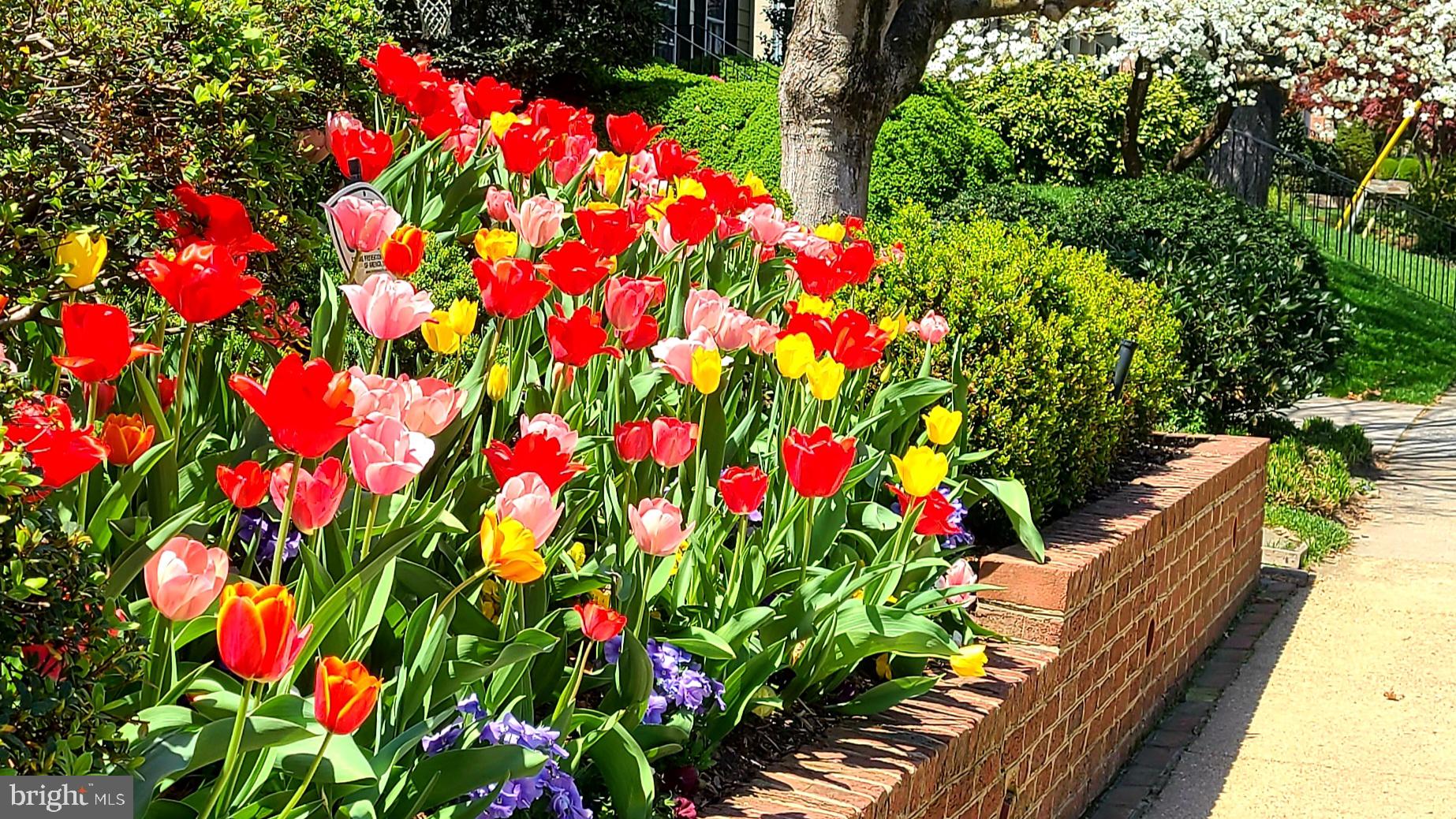 SUMNER - Residential