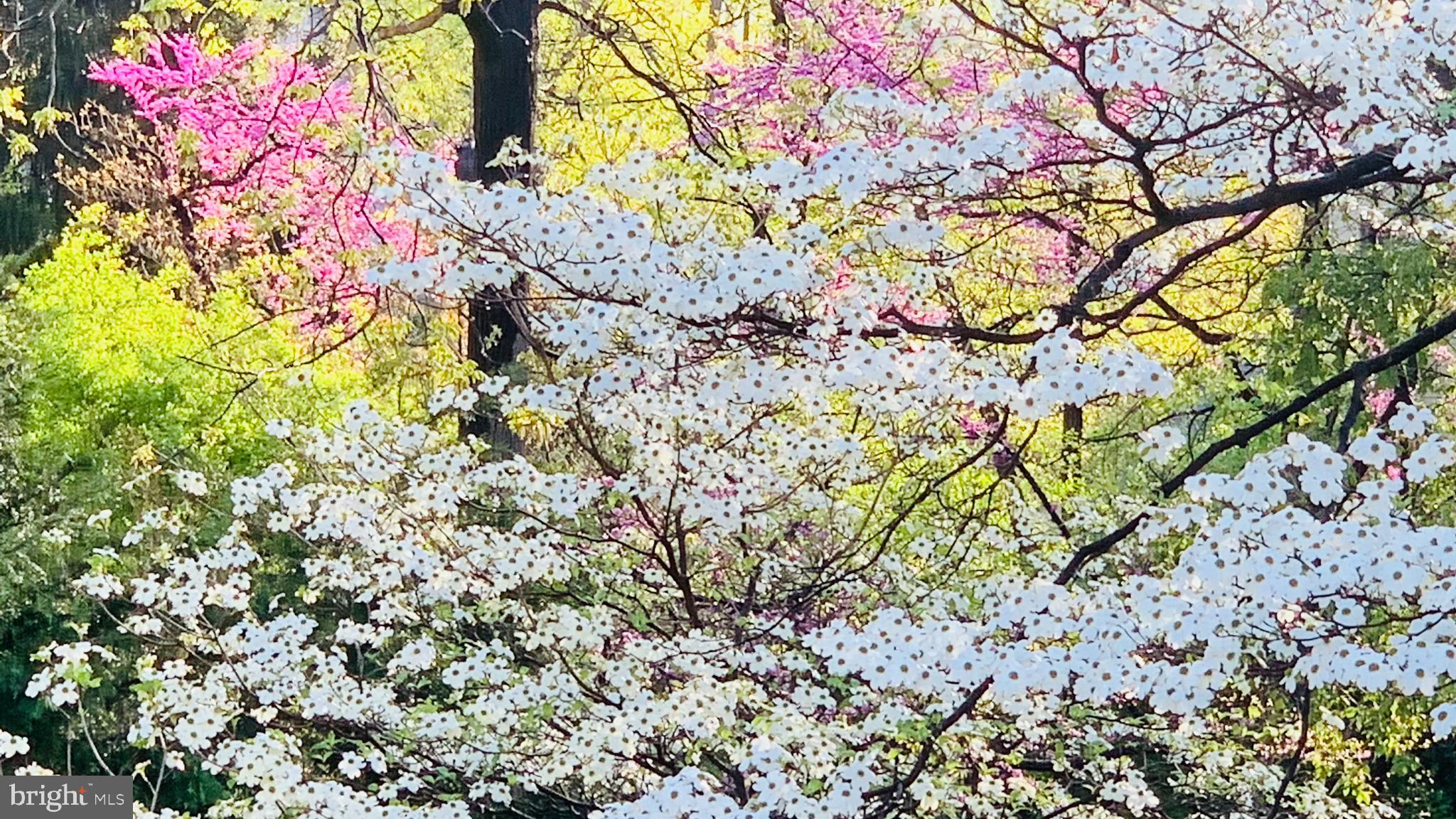 VICTORIA WOODS - Residential