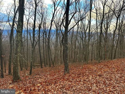 Vacant Land For Sale - LOT 14 SEC 8 Lawyer Lane<br/> SLANESVILLE, WV 25444