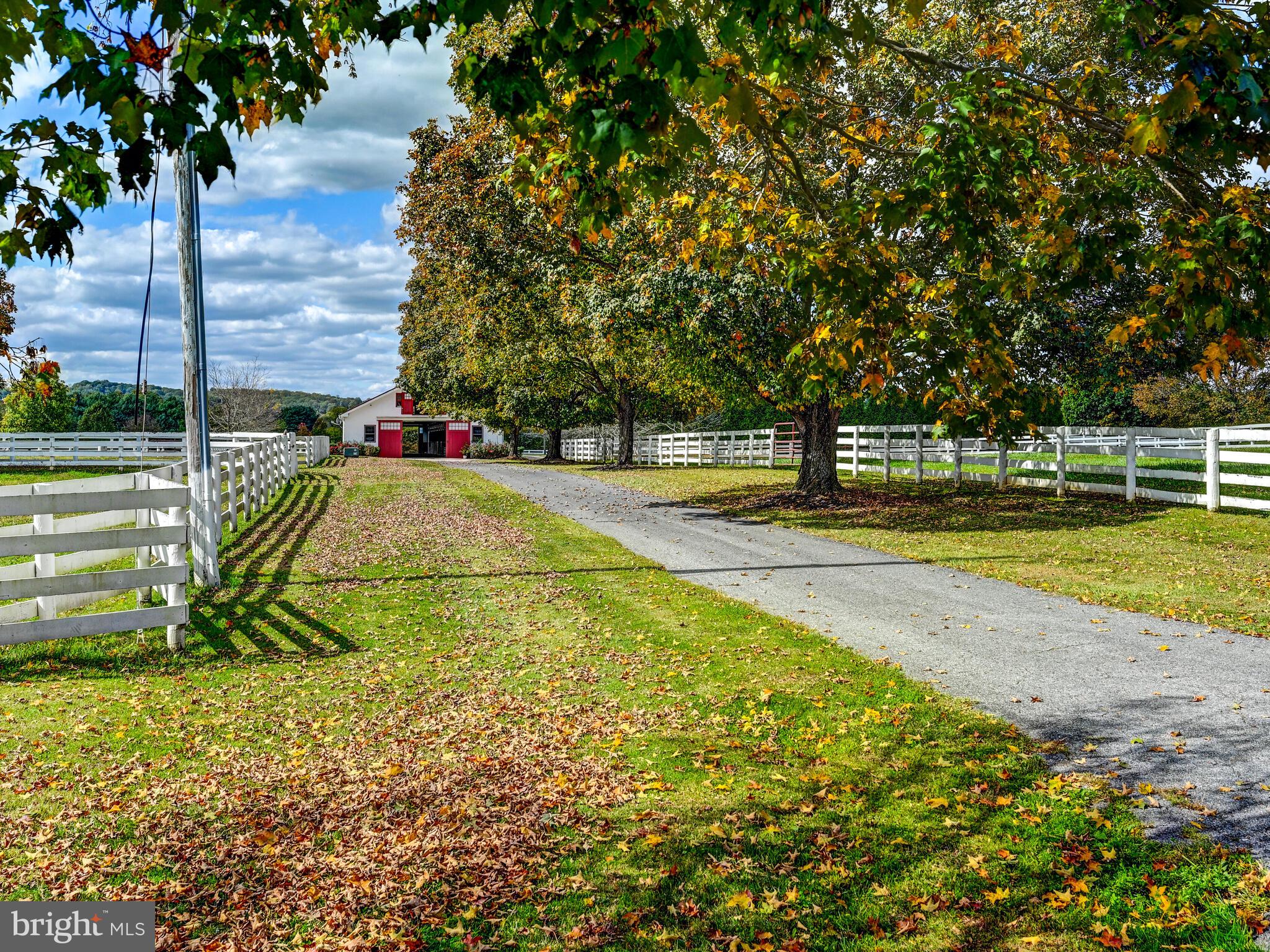 WORTHINGTON VALLEY - Farm