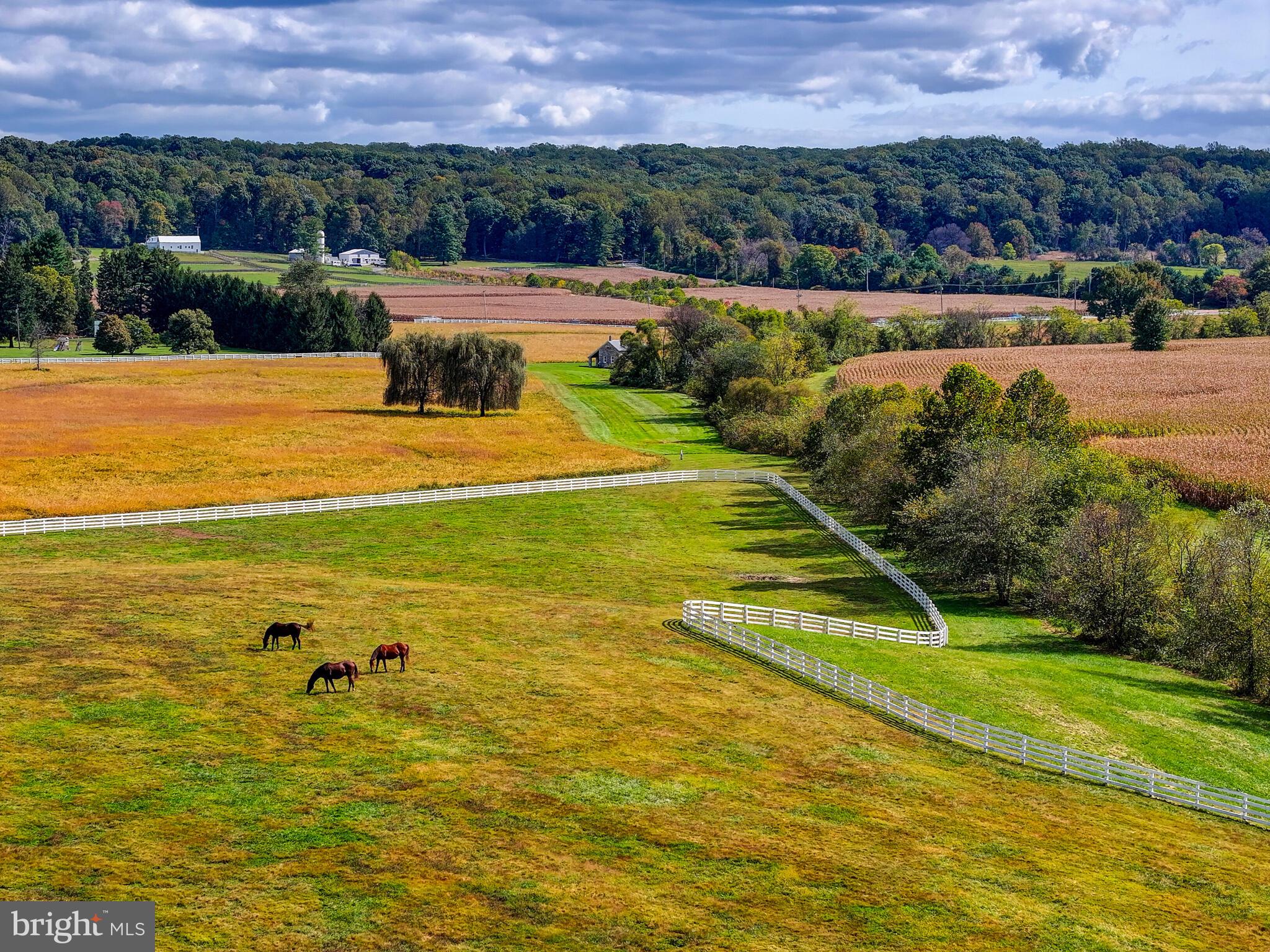 WORTHINGTON VALLEY - Farm