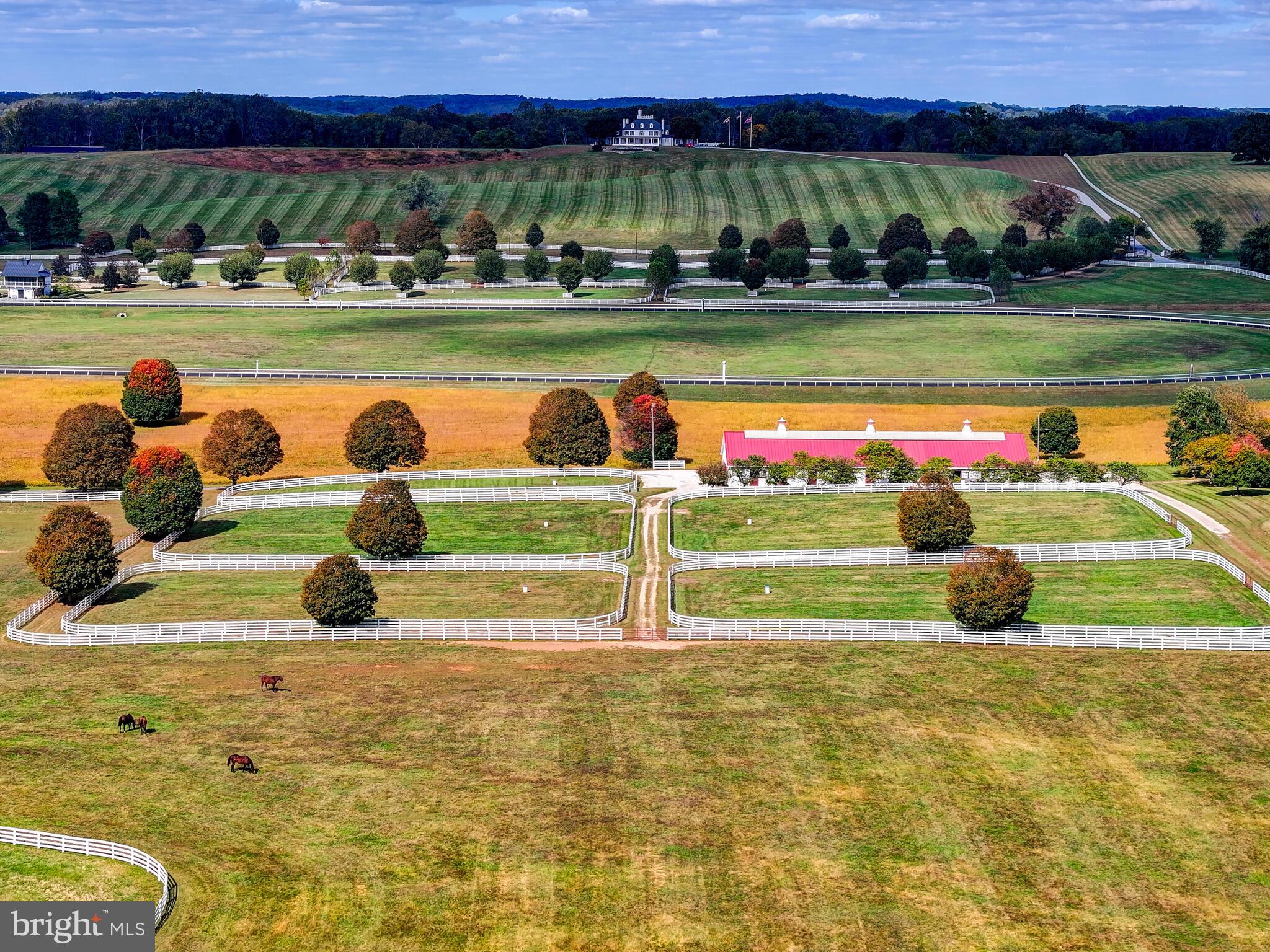 WORTHINGTON VALLEY - Farm