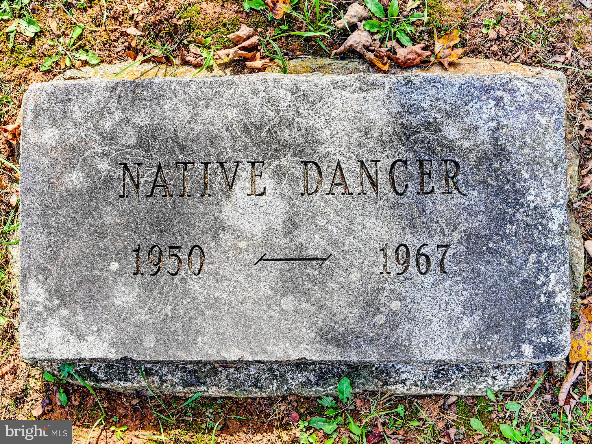 WORTHINGTON VALLEY - Farm