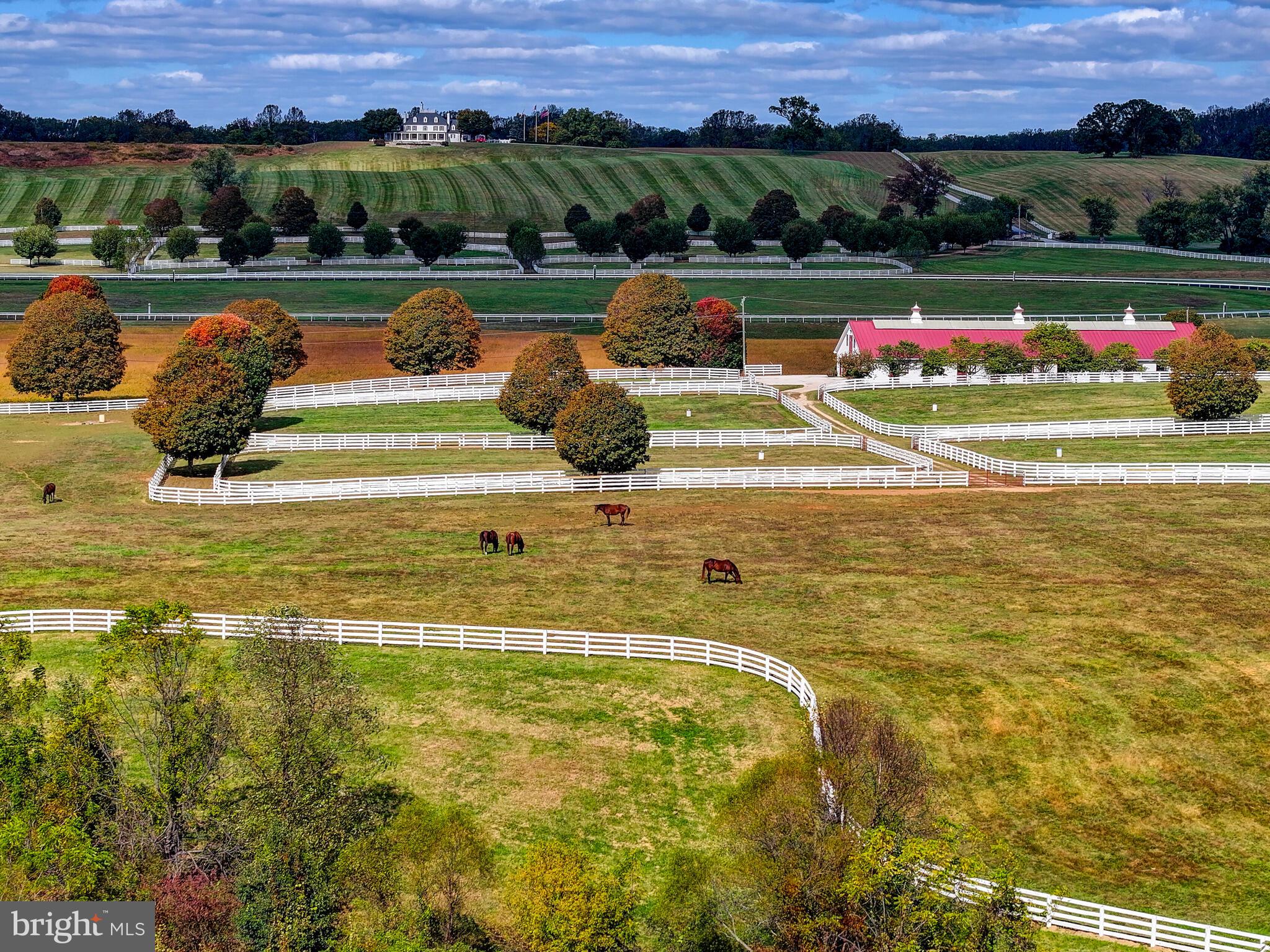 WORTHINGTON VALLEY - Farm