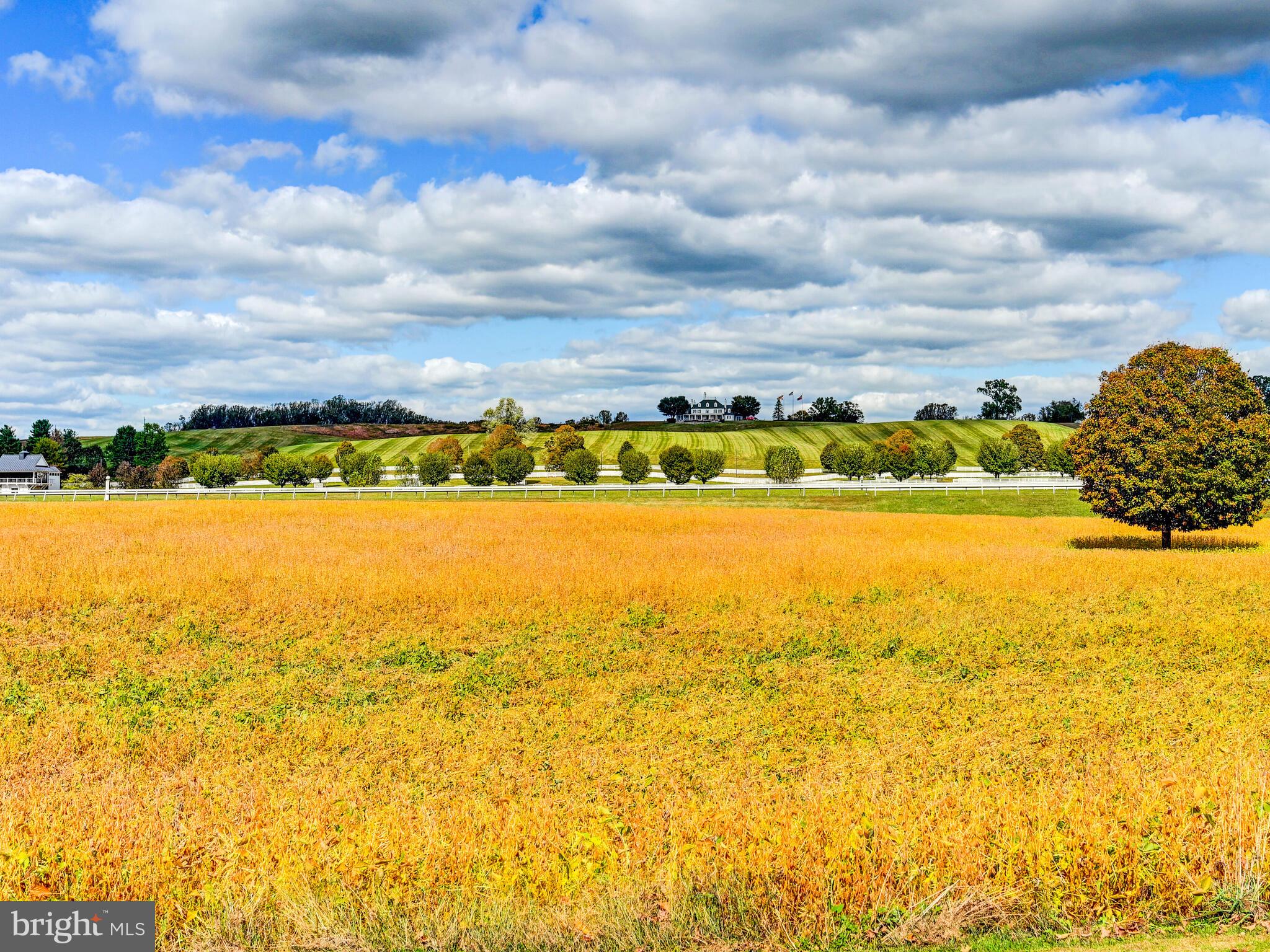 WORTHINGTON VALLEY - Farm