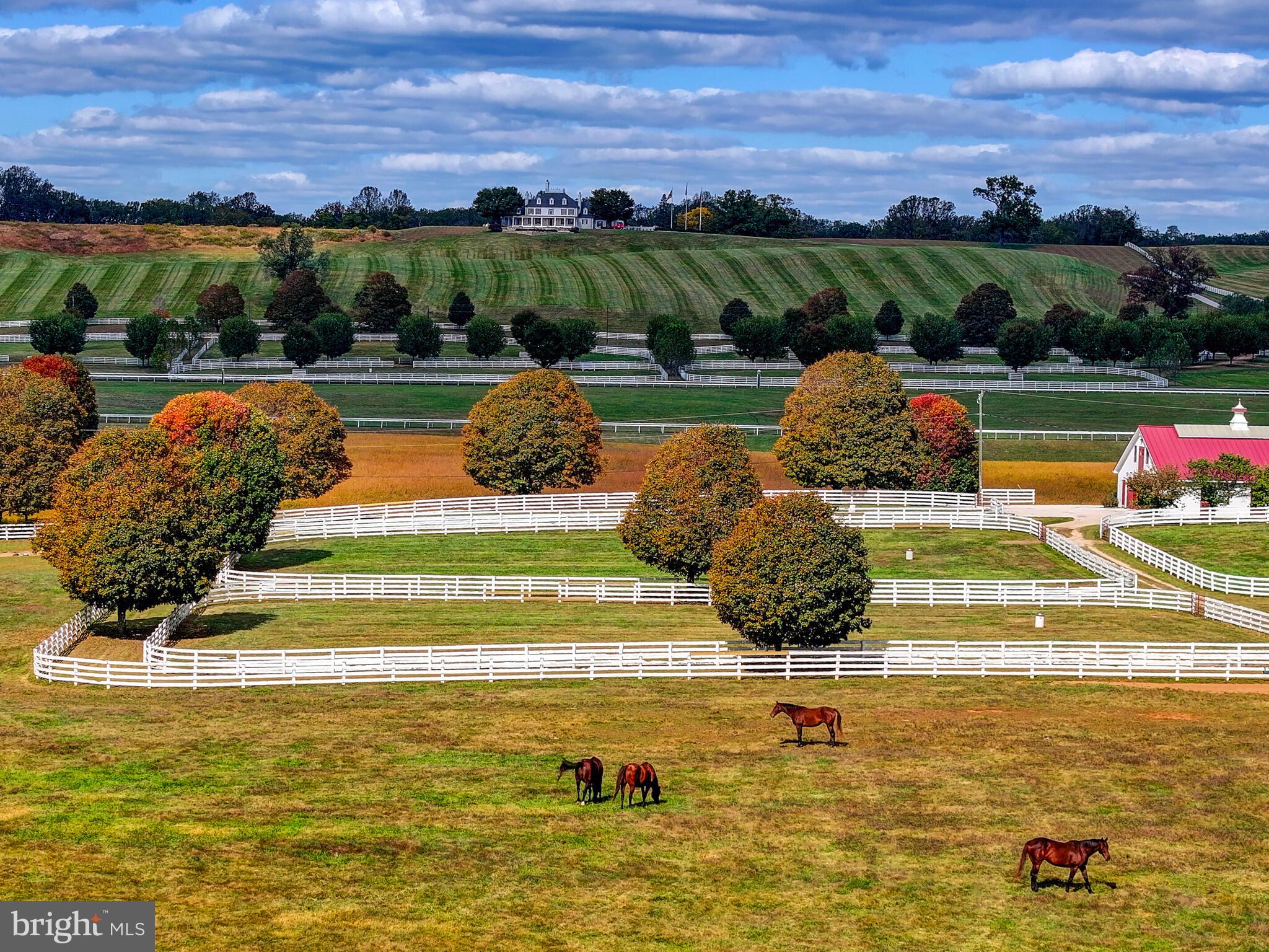 WORTHINGTON VALLEY - Farm
