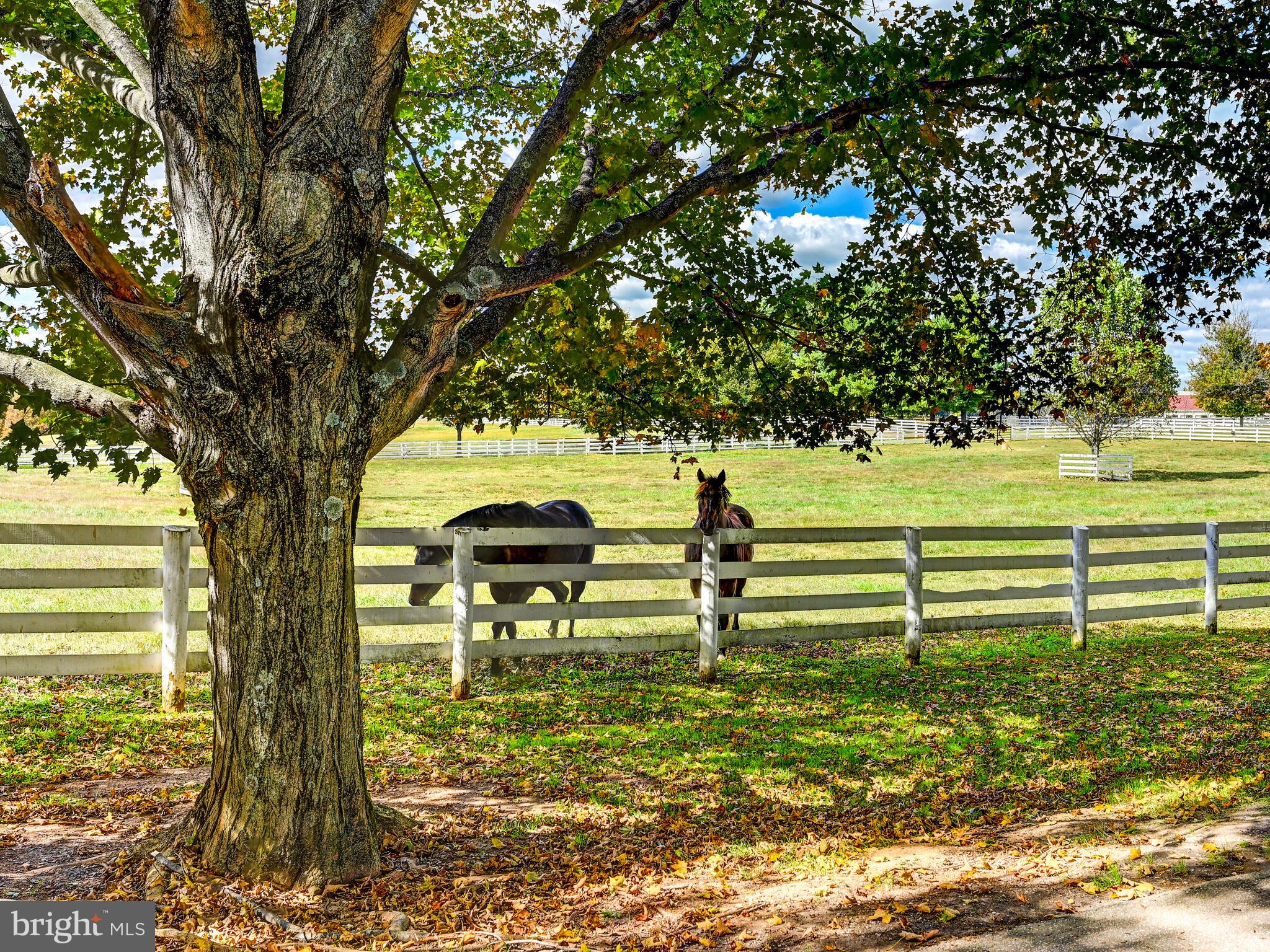 WORTHINGTON VALLEY - Farm