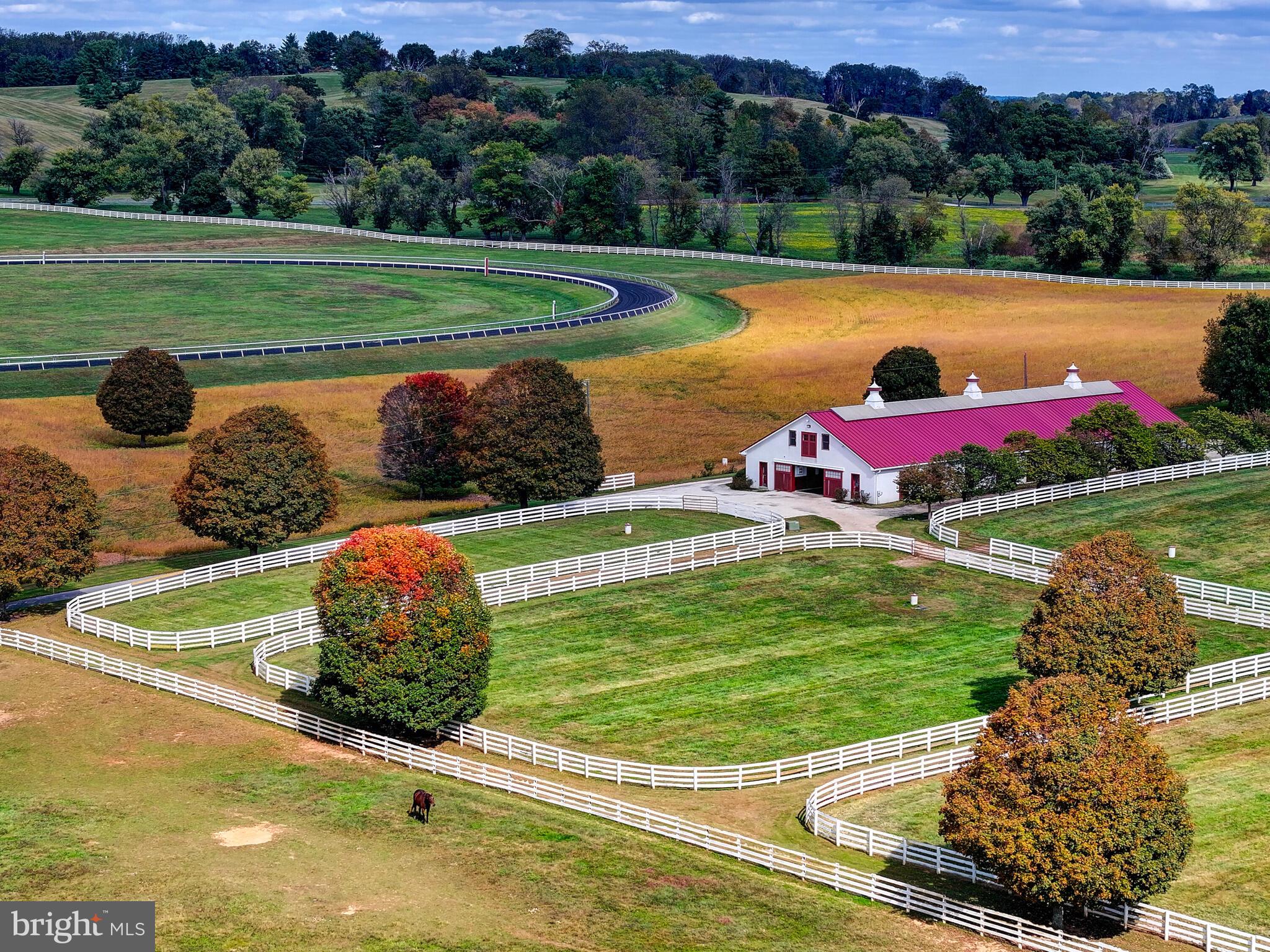 WORTHINGTON VALLEY - Farm