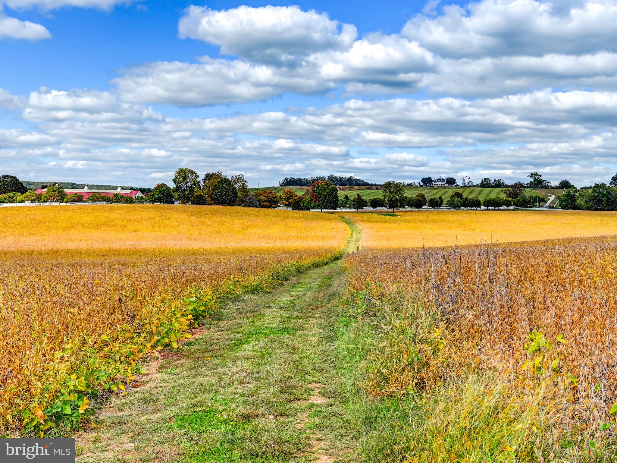 WORTHINGTON VALLEY - Farm