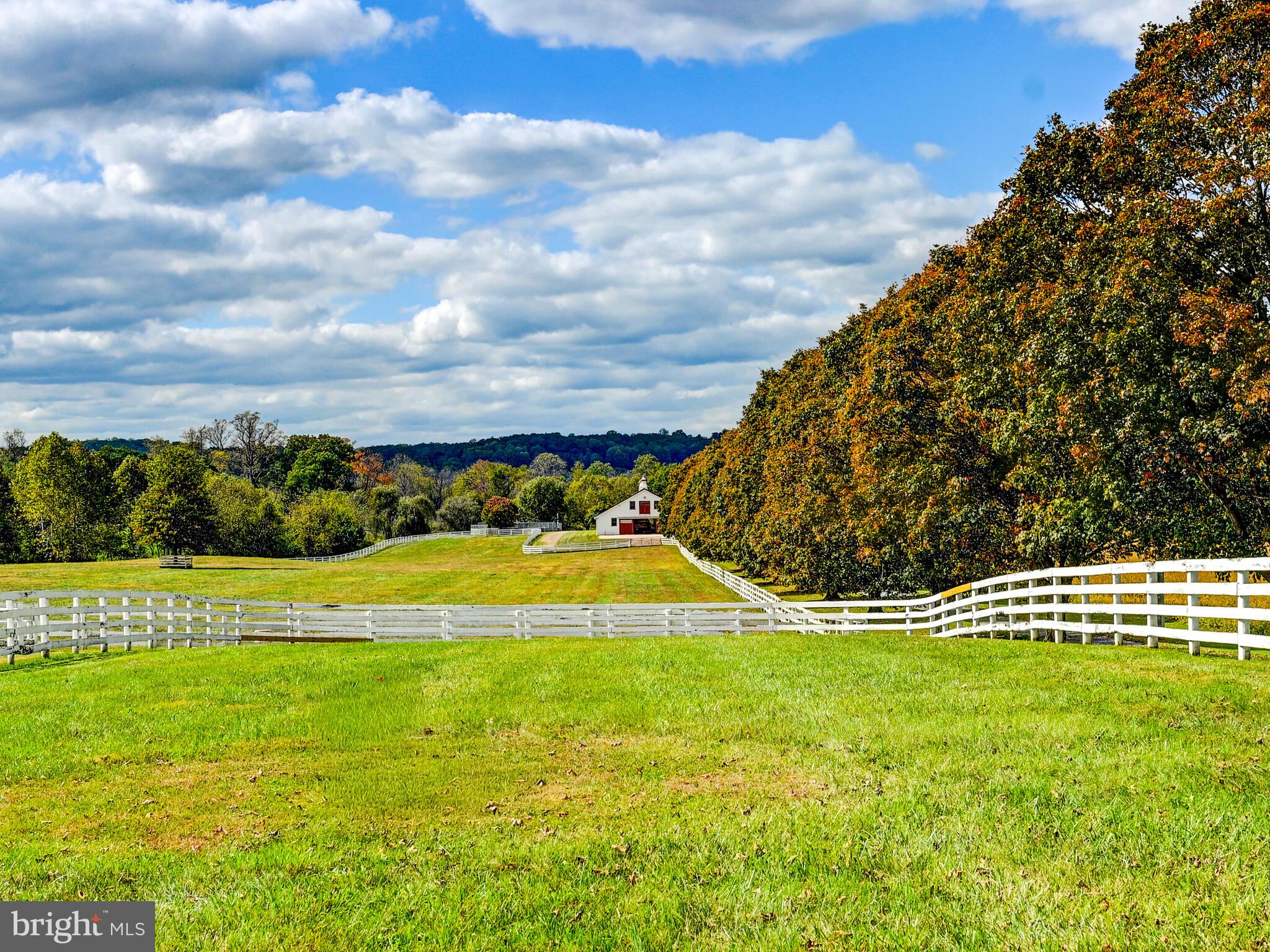 WORTHINGTON VALLEY - Farm