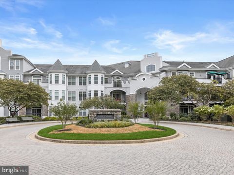 3000 STONE CLIFF DRIVE 307 BALTIMORE MD 21209