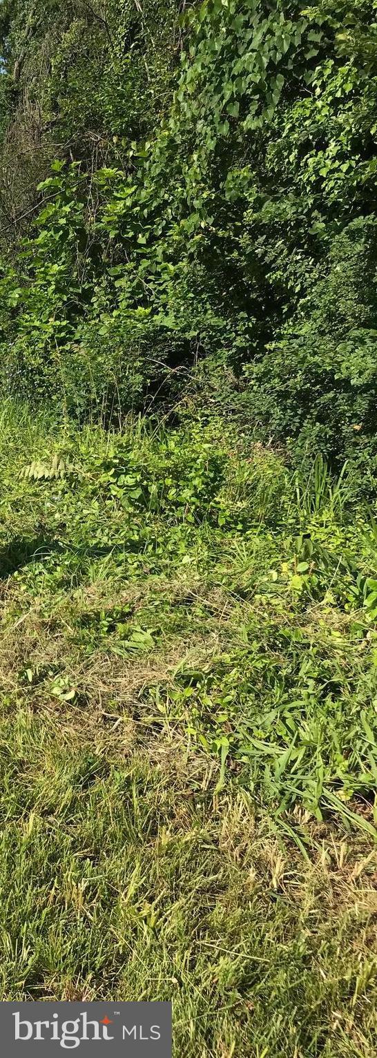 Two lots are available (6903 Allentown Road and 6901 Allentown Road (MDPG2157192). The lots are 1/2 acre each. All building plans are approved. Walk-out lower-level potential. All utilities are at the front of the lots. Accessible to Buses, Shopping, DC City Limits, National Harbor, and much more. Ready to Build. Call Listing Agent, Larry Haley, if you have any questions or want to take a look at the lot(s).