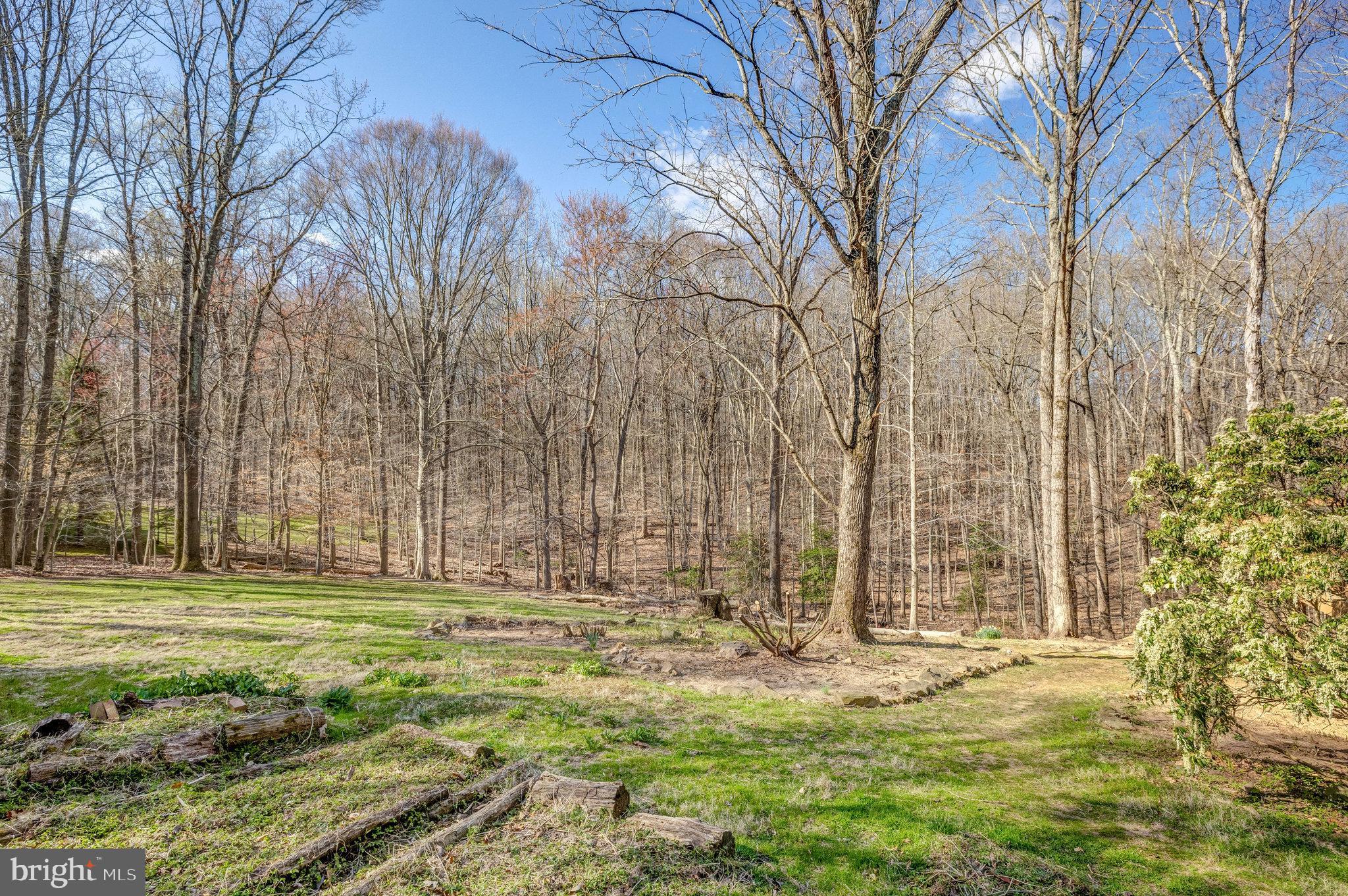 POTOMAC RIDGE ESTATES - Residential