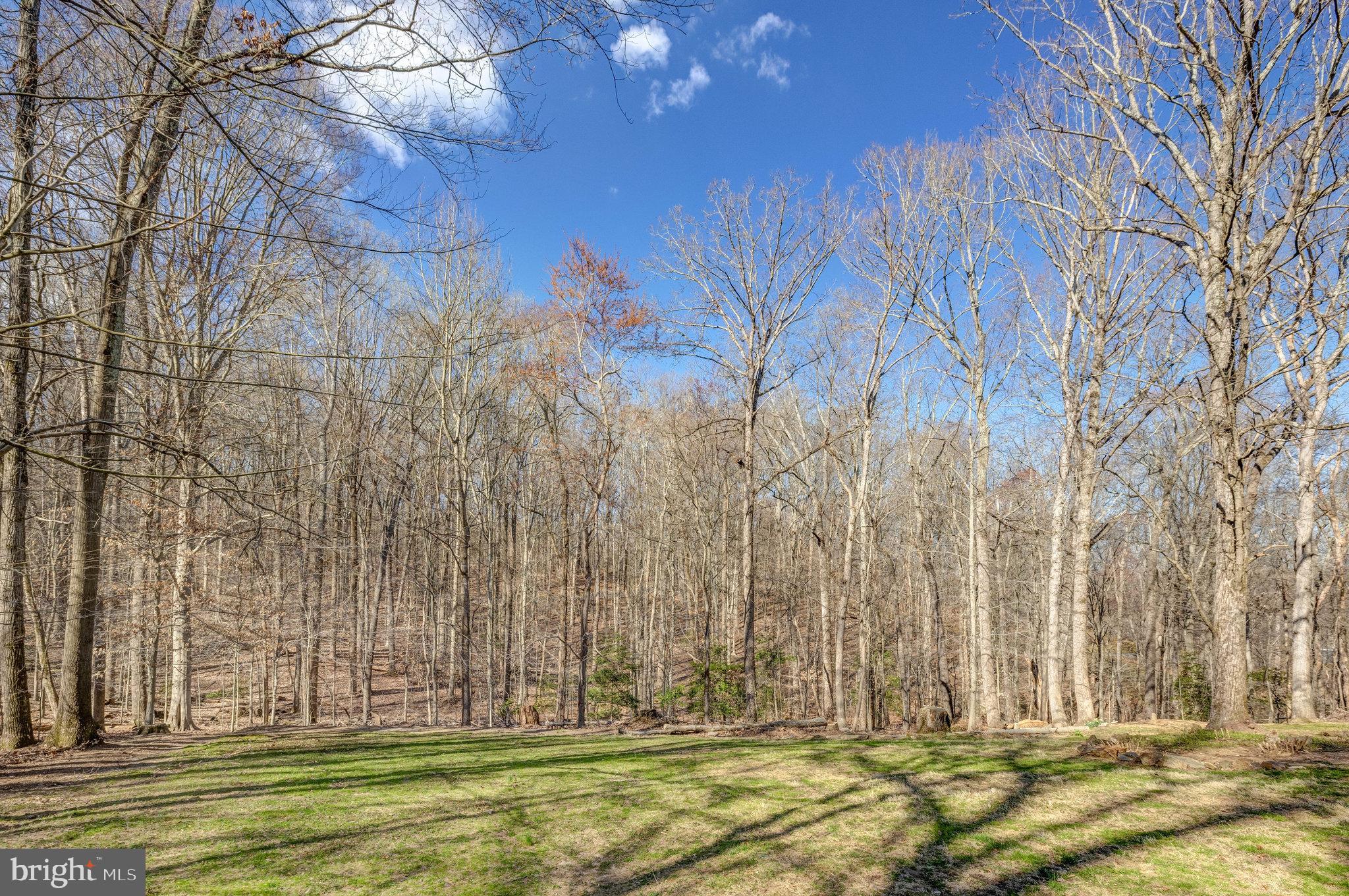 POTOMAC RIDGE ESTATES - Residential