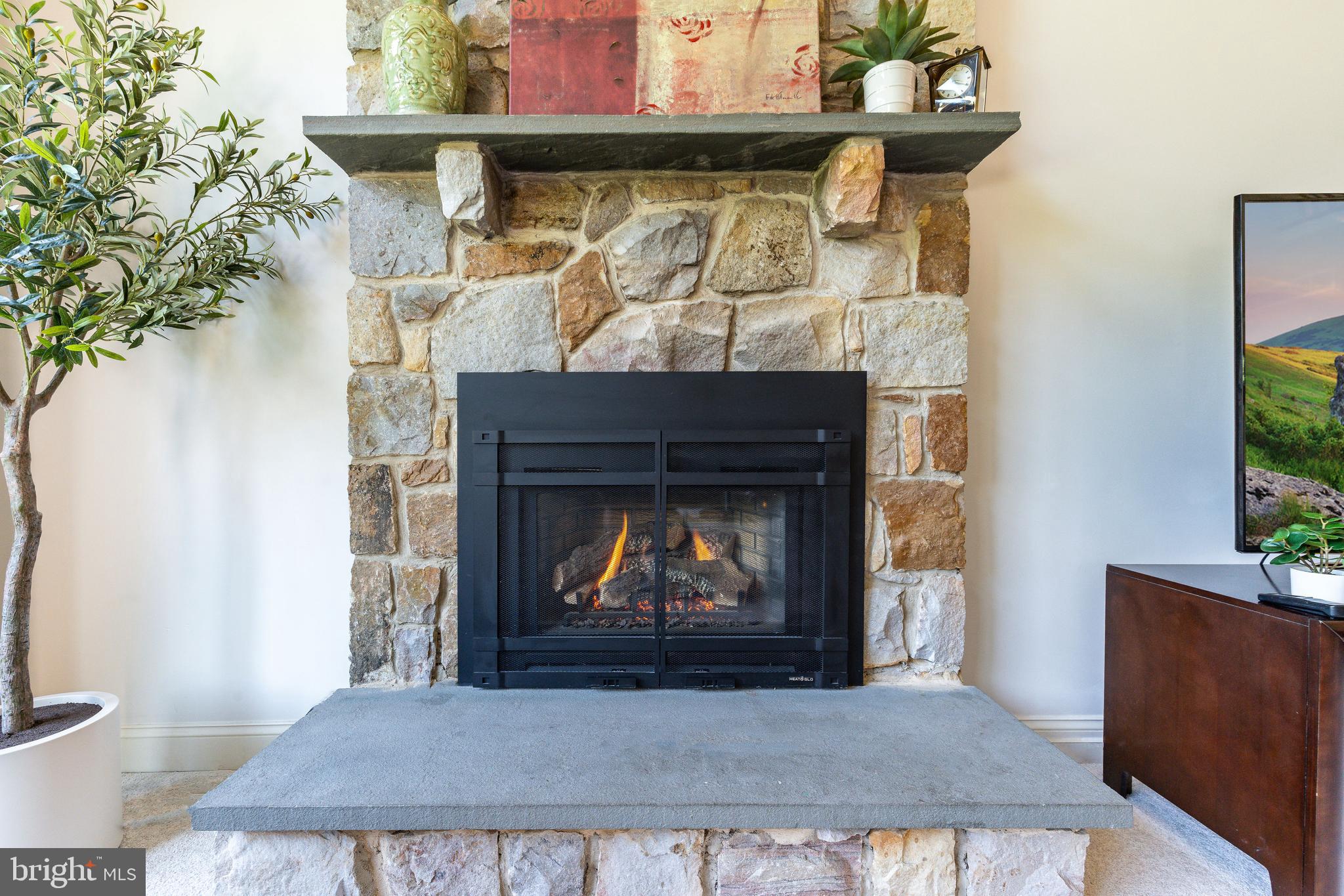 GWYNWOOD POND - Residential